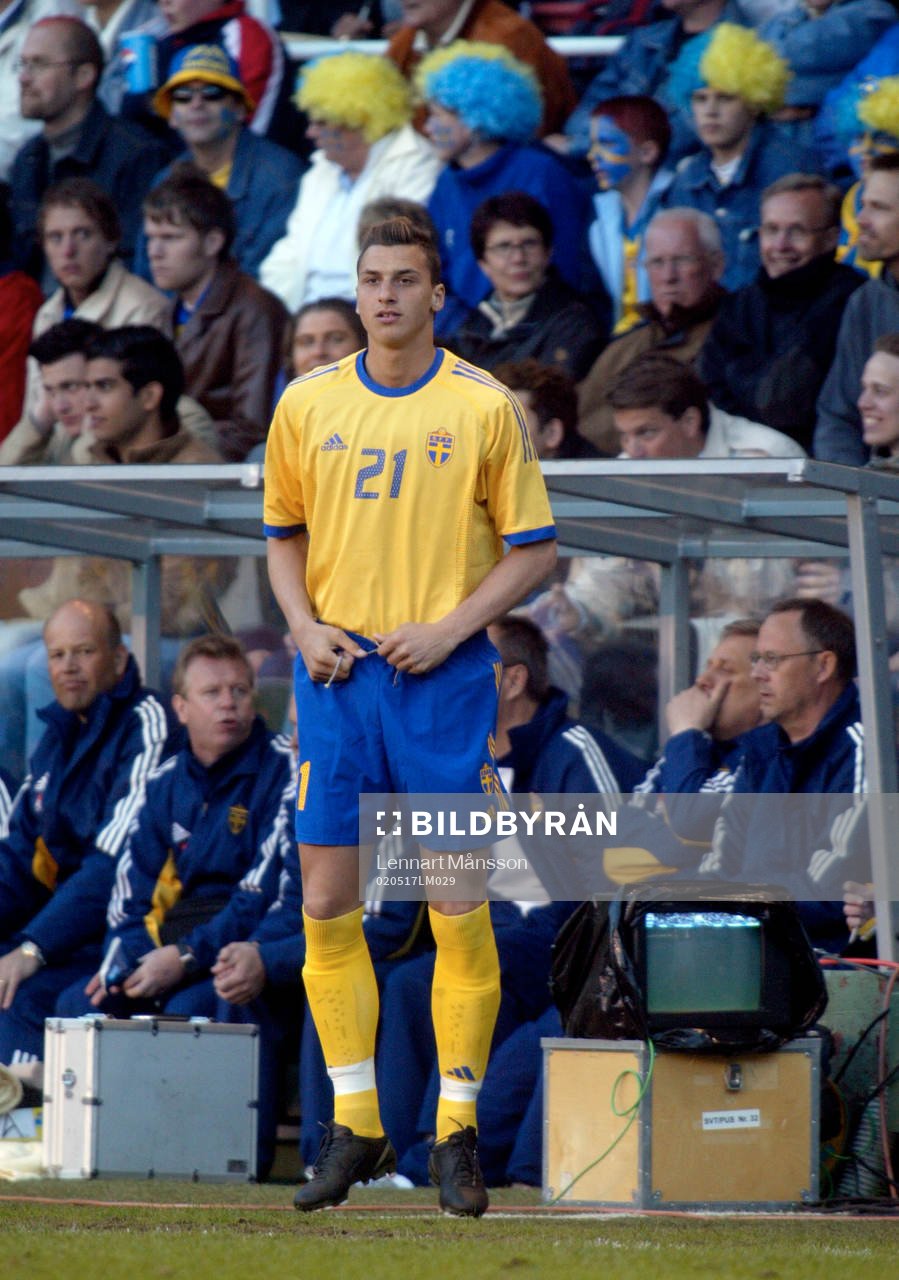 Zlatan Ibrahimovic, Sverige