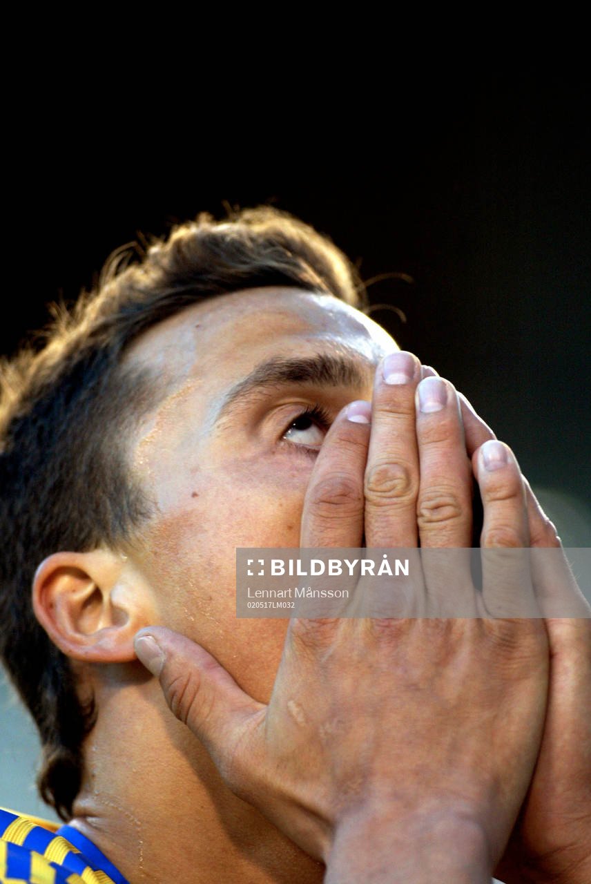 Zlatan Ibrahimovic, Sverige