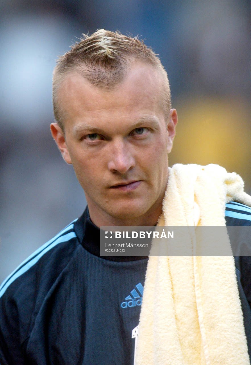 Magnus Hedman, Sverige