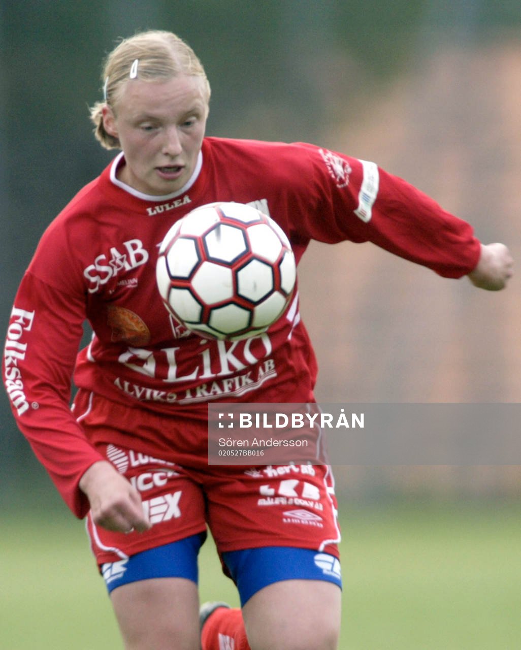 Sofia Simonsson, Alvik