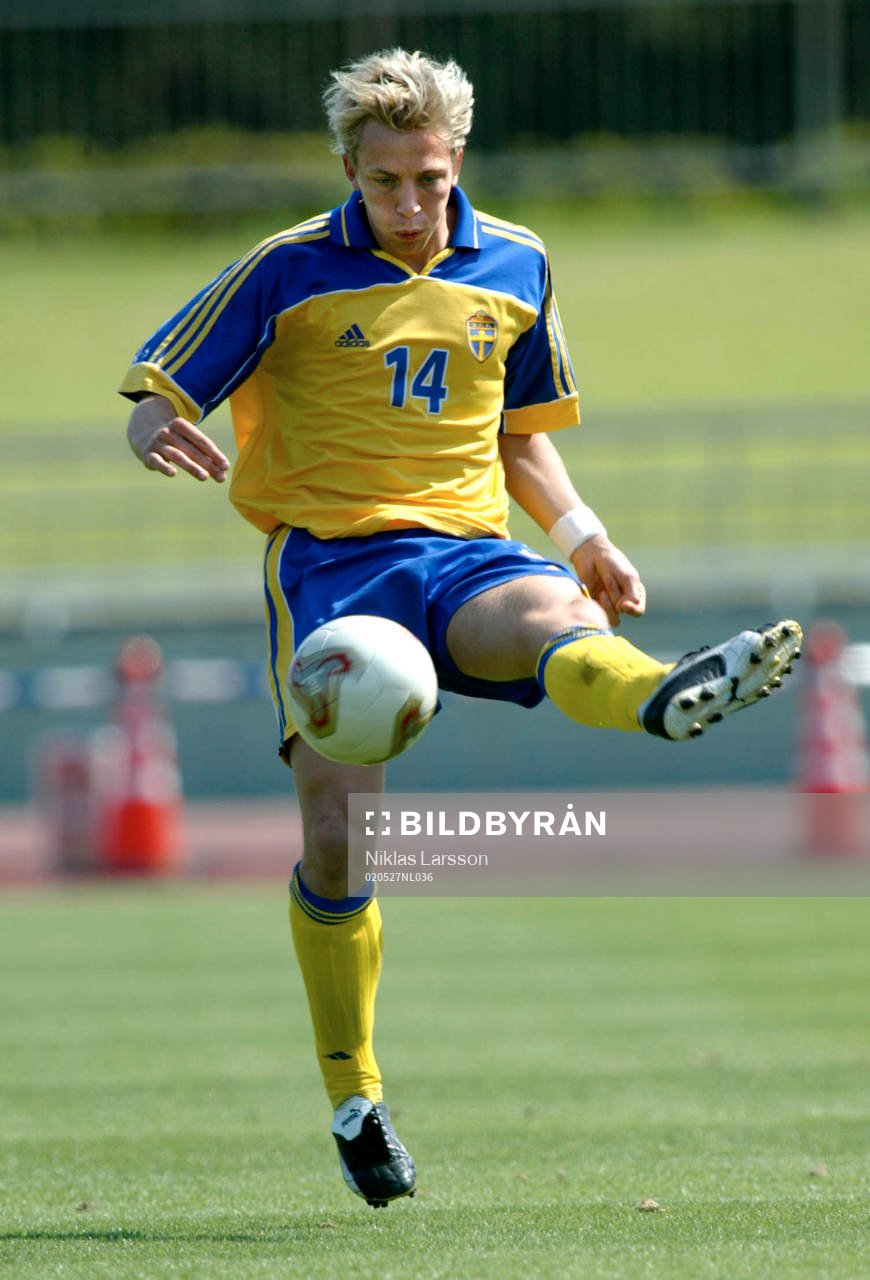 Erik Edman, Sverige
