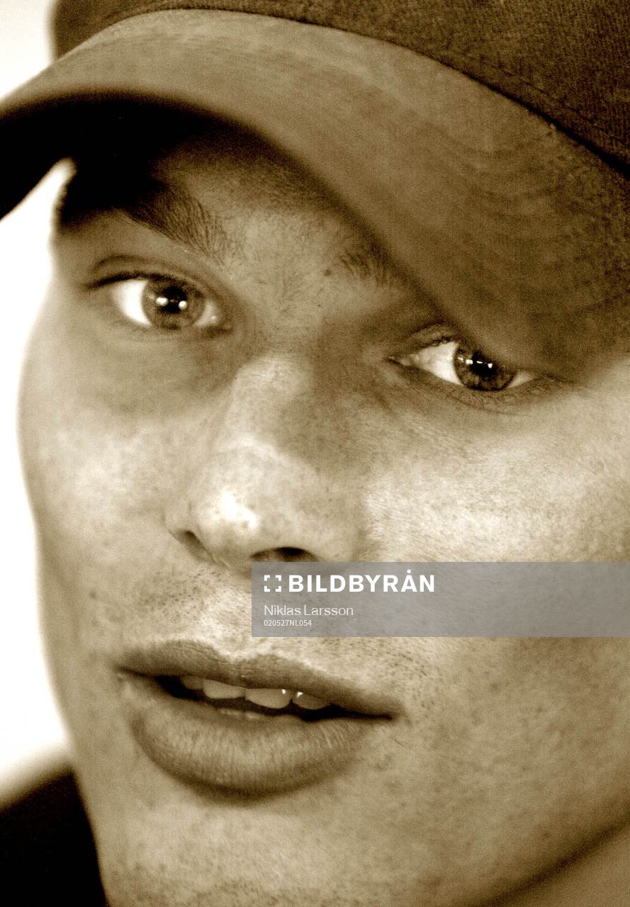 Fredrik Ljungberg, Sverige