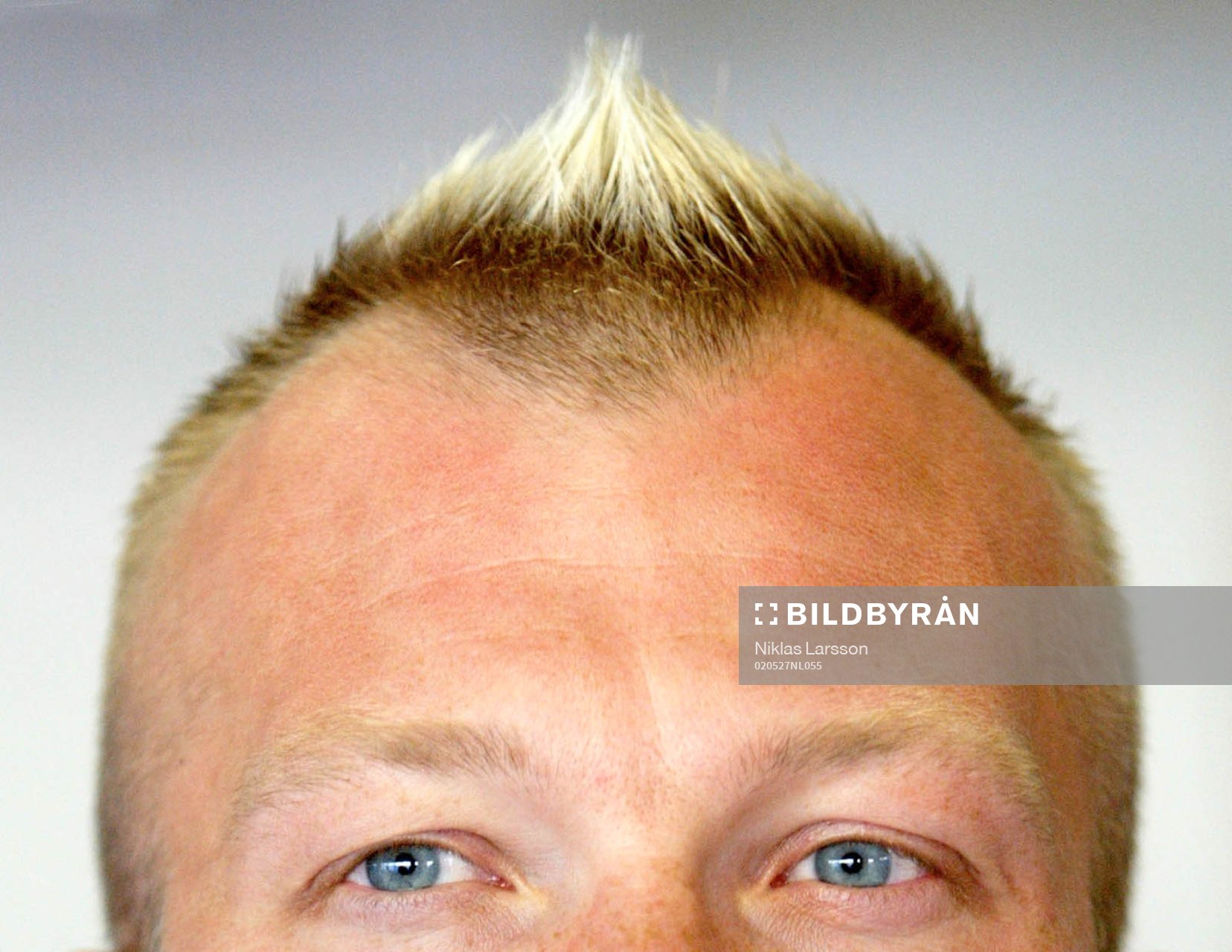 Magnus Hedman, Sverige