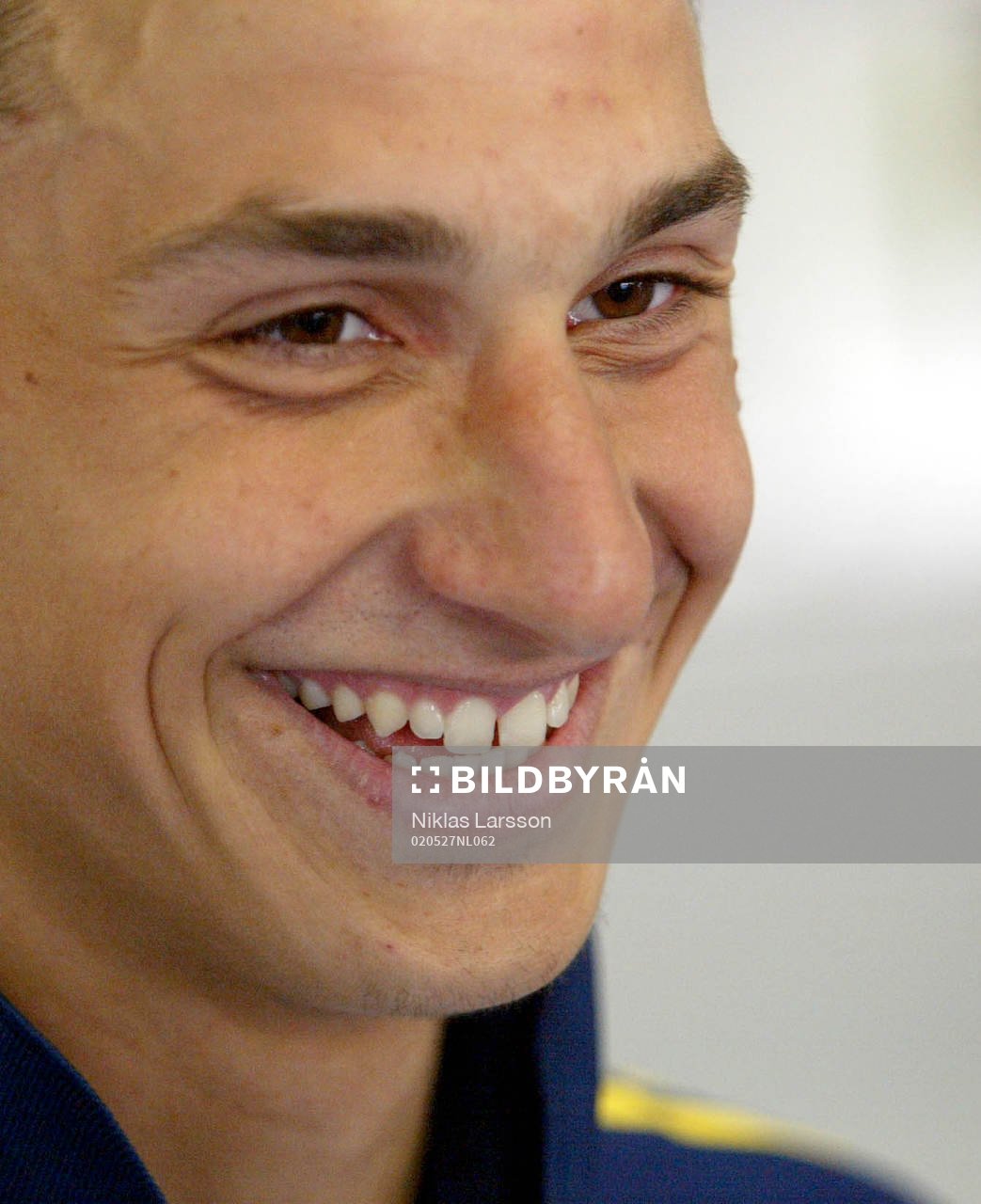 Zlatan Ibrahimovic, Sverige