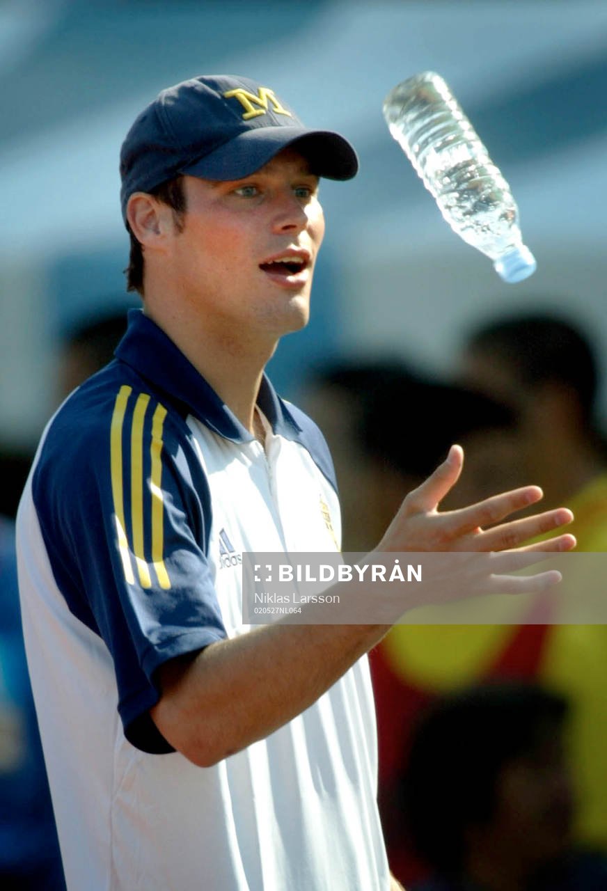 Fredrik Ljungberg, Sverige