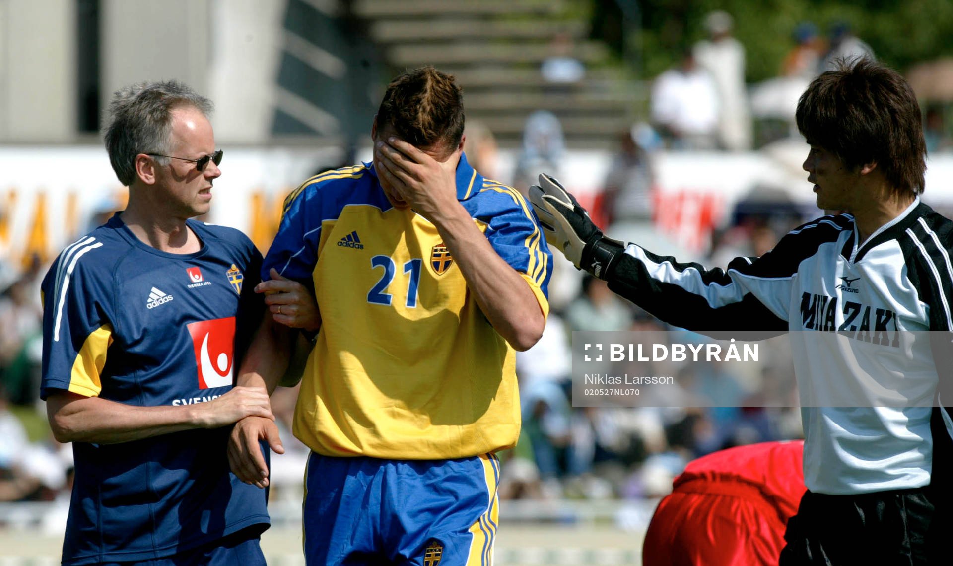 Zlatan Ibrahimovic, Sverige, skada
