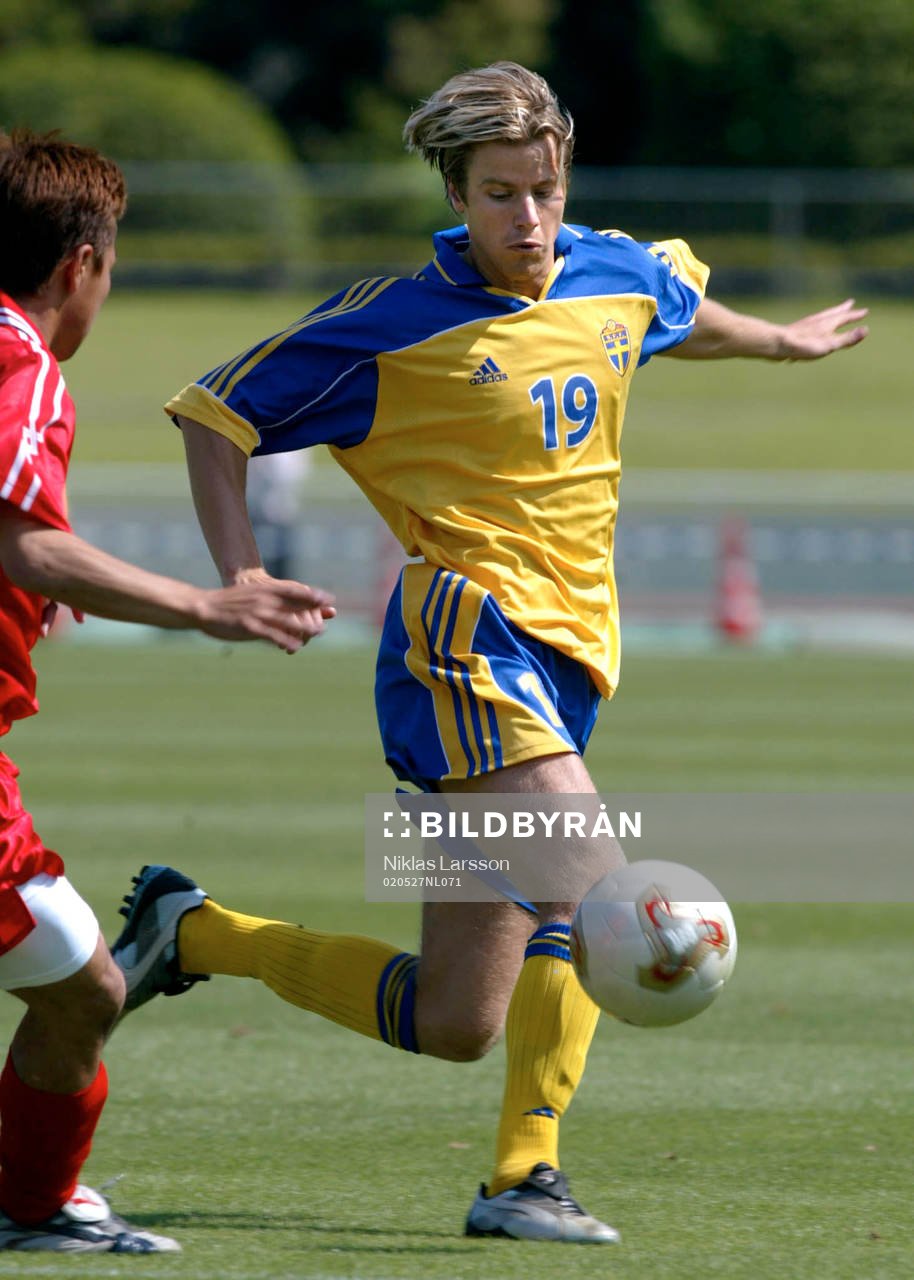 Pontus Farnerud, Sverige