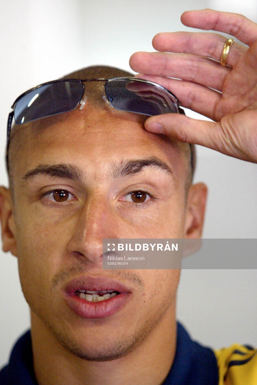 Henrik Larsson, Sverige