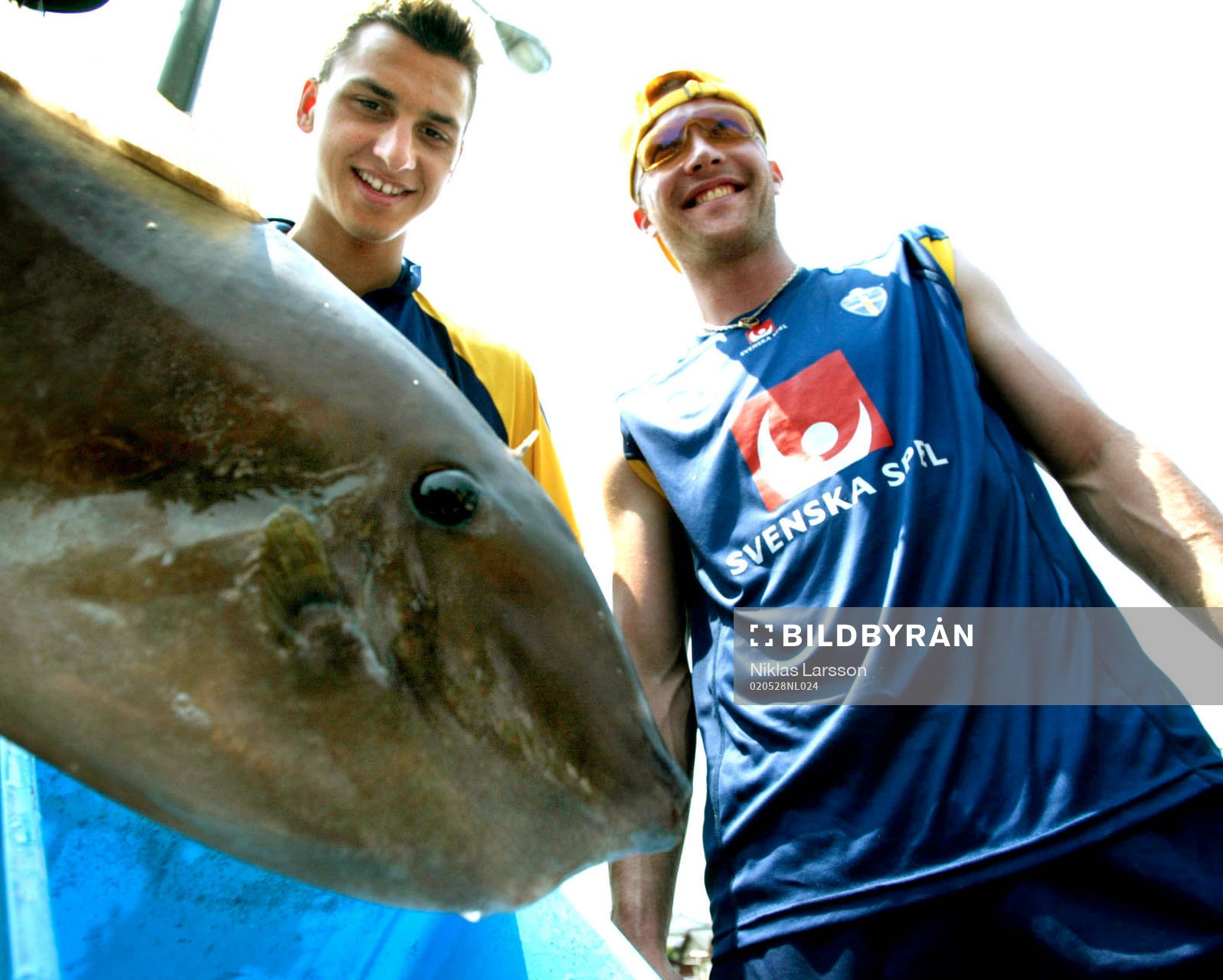 Zlatan Ibrahimovic och Magnus Hedman, Sverige