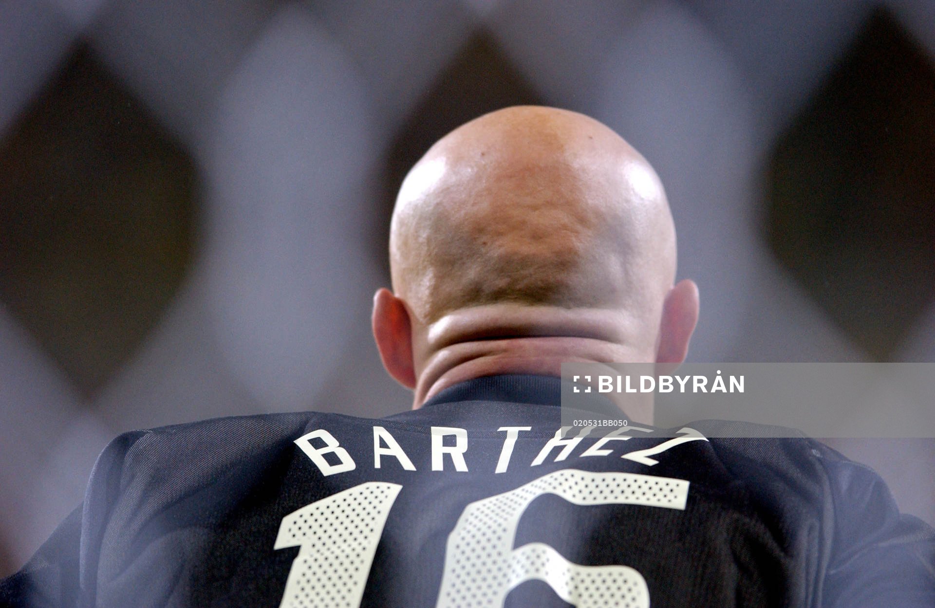 Fabien Barthez, Frankrike