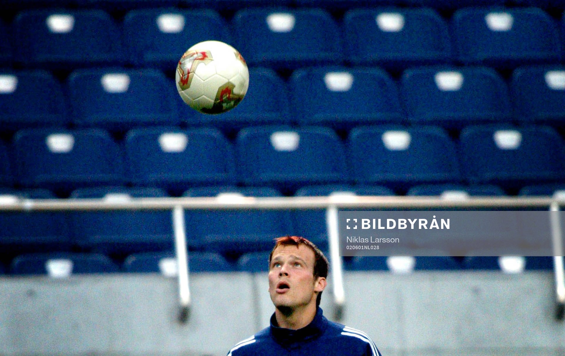 Fredrik Ljungberg, Sverige