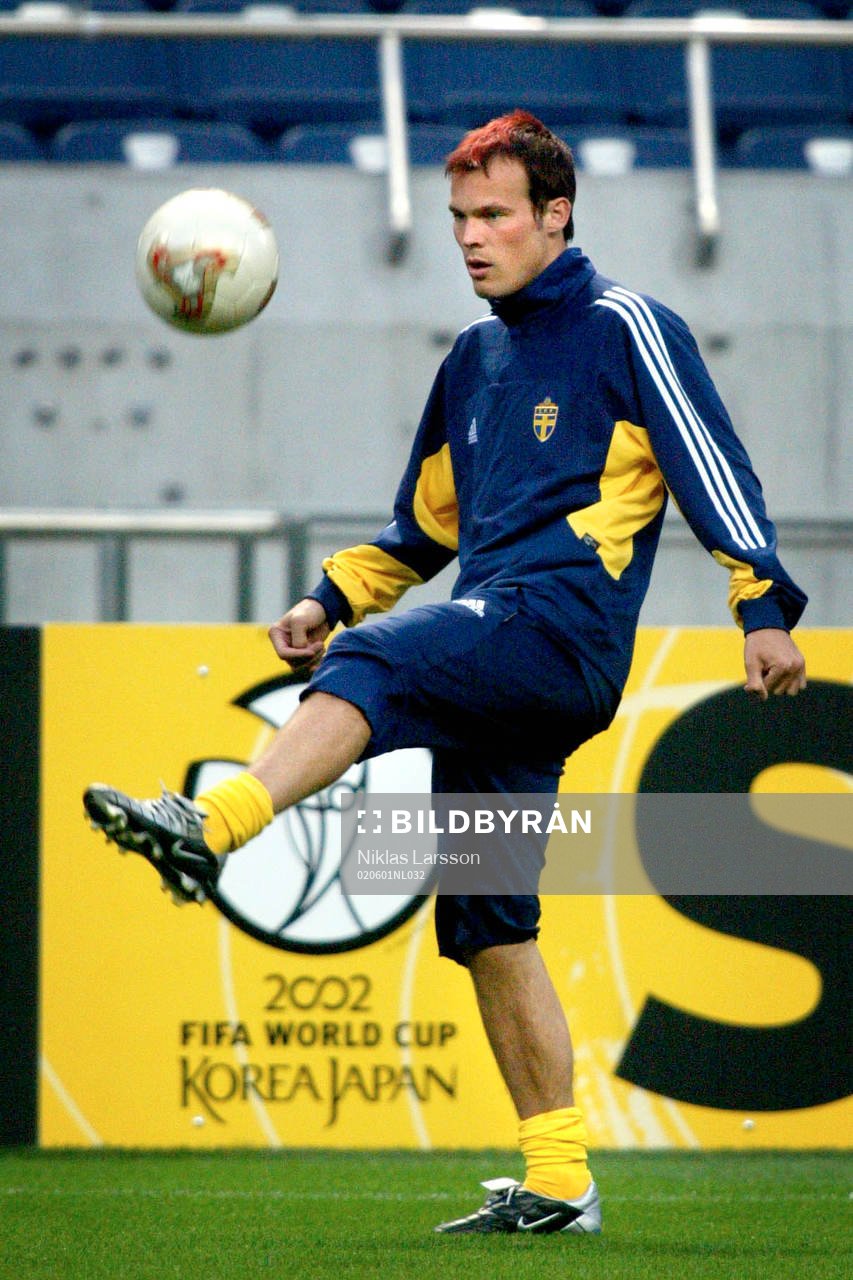 Fredrik Ljungberg, Sverige
