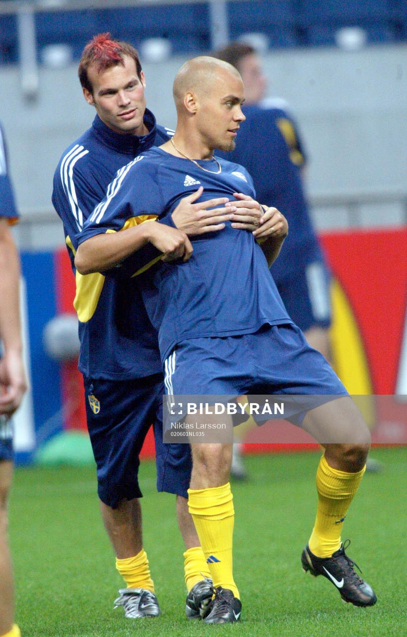 Fredrik Ljungberg och Tomas Antonelius, Sverige