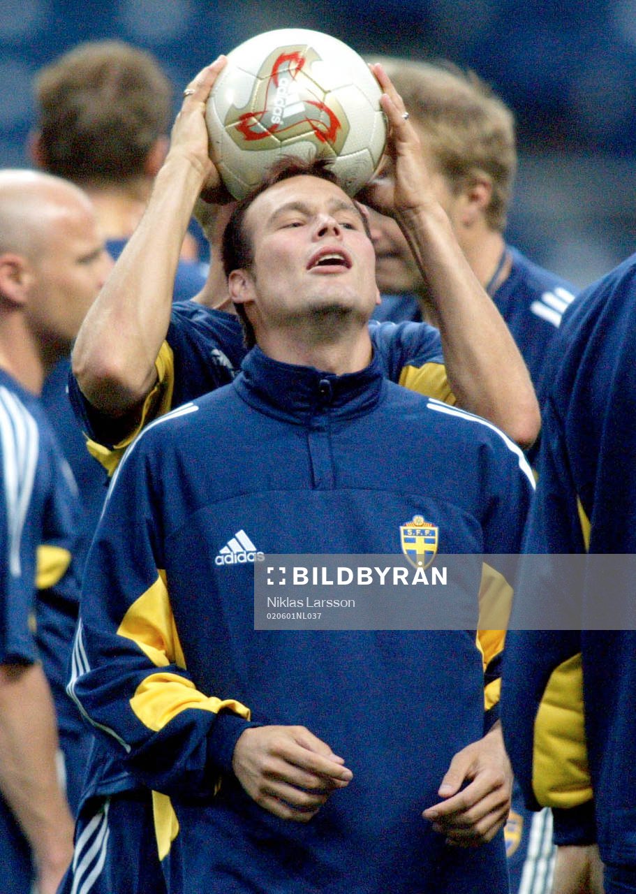 Fredrik Ljungberg, Sverige