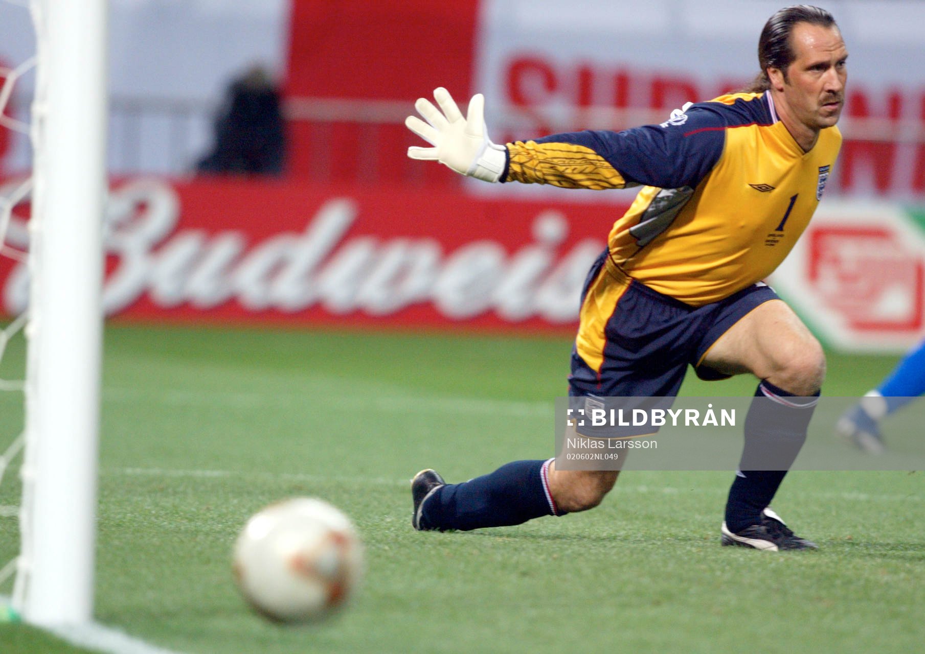 David Seaman, målvakt England