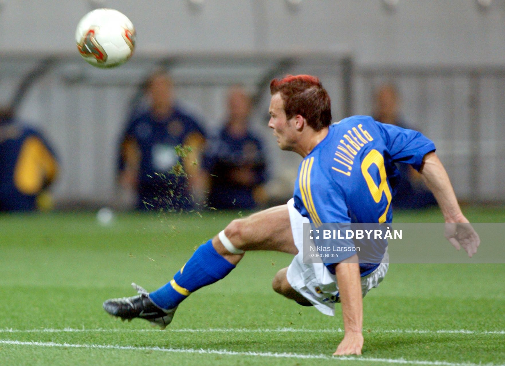  Fredrik Ljungberg, Sverige.