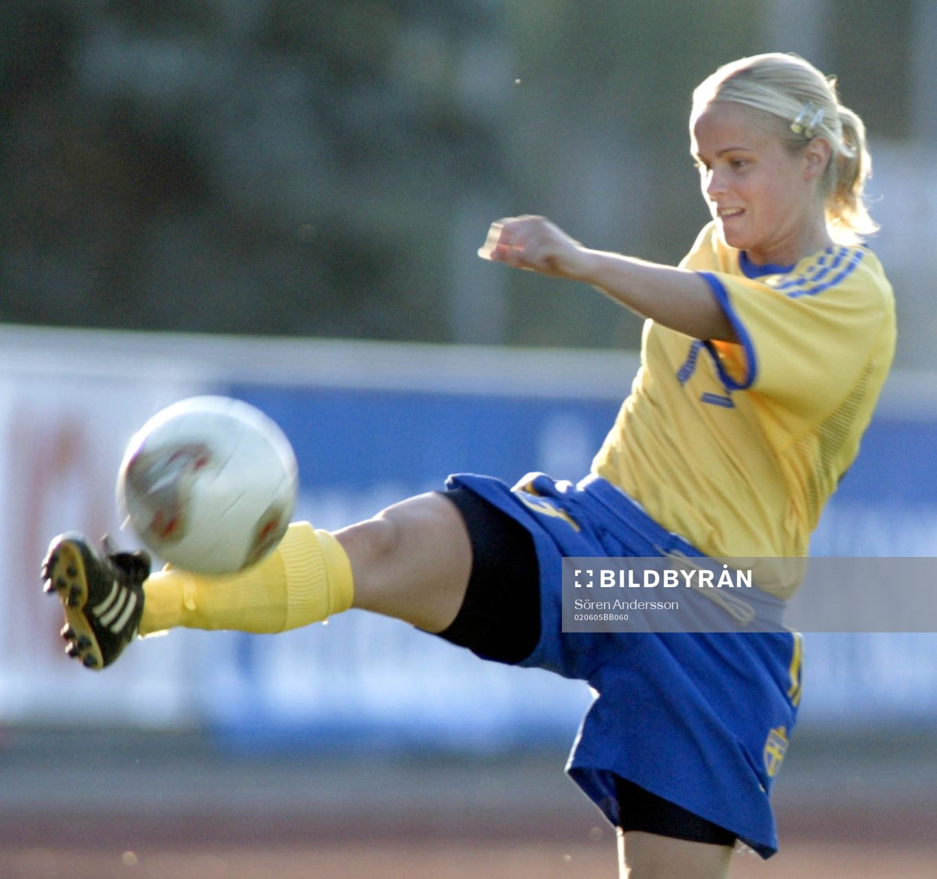 Katarina Söderberg, Sverige
