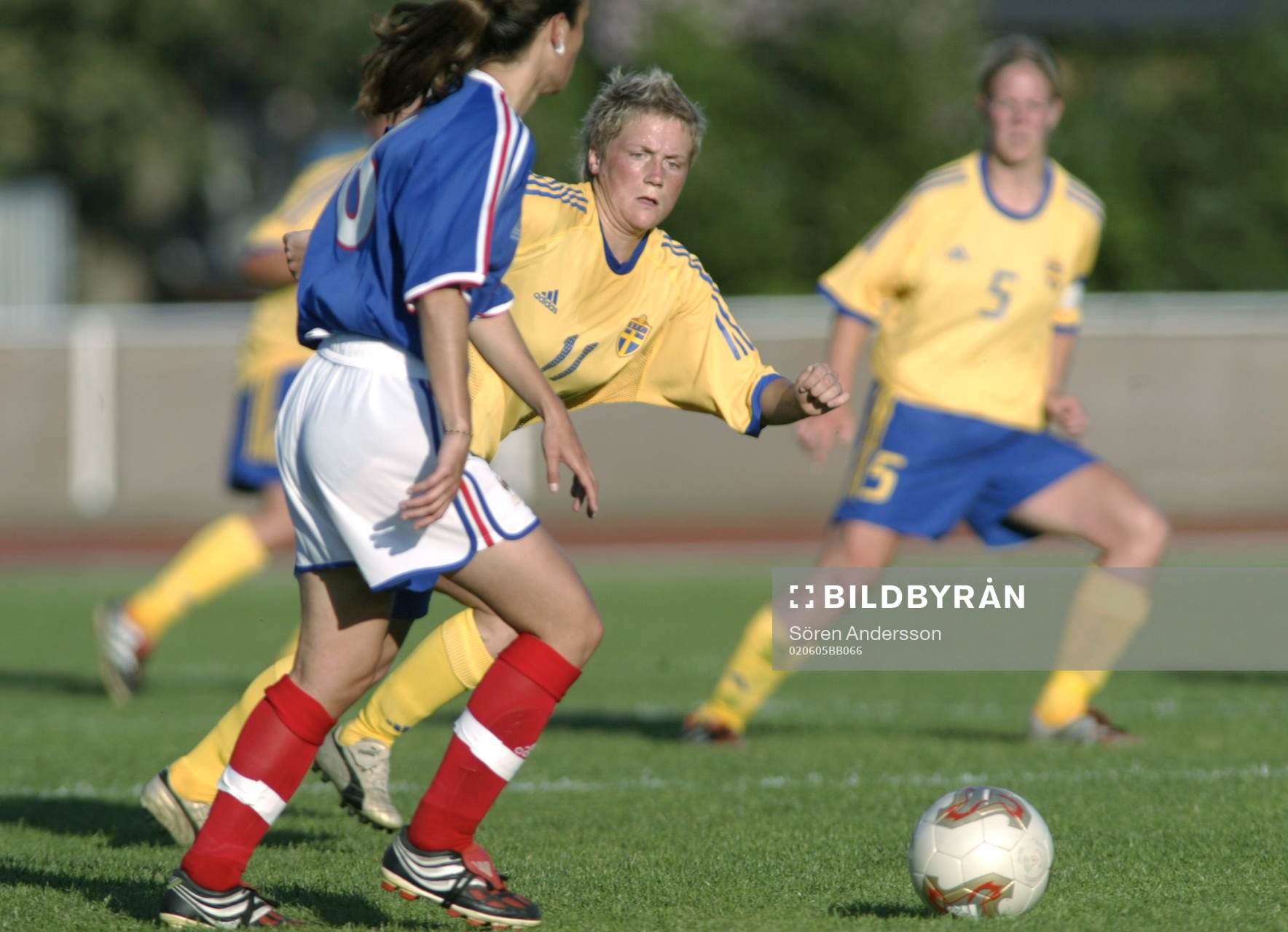 Marlene Sjöberg, Sverige