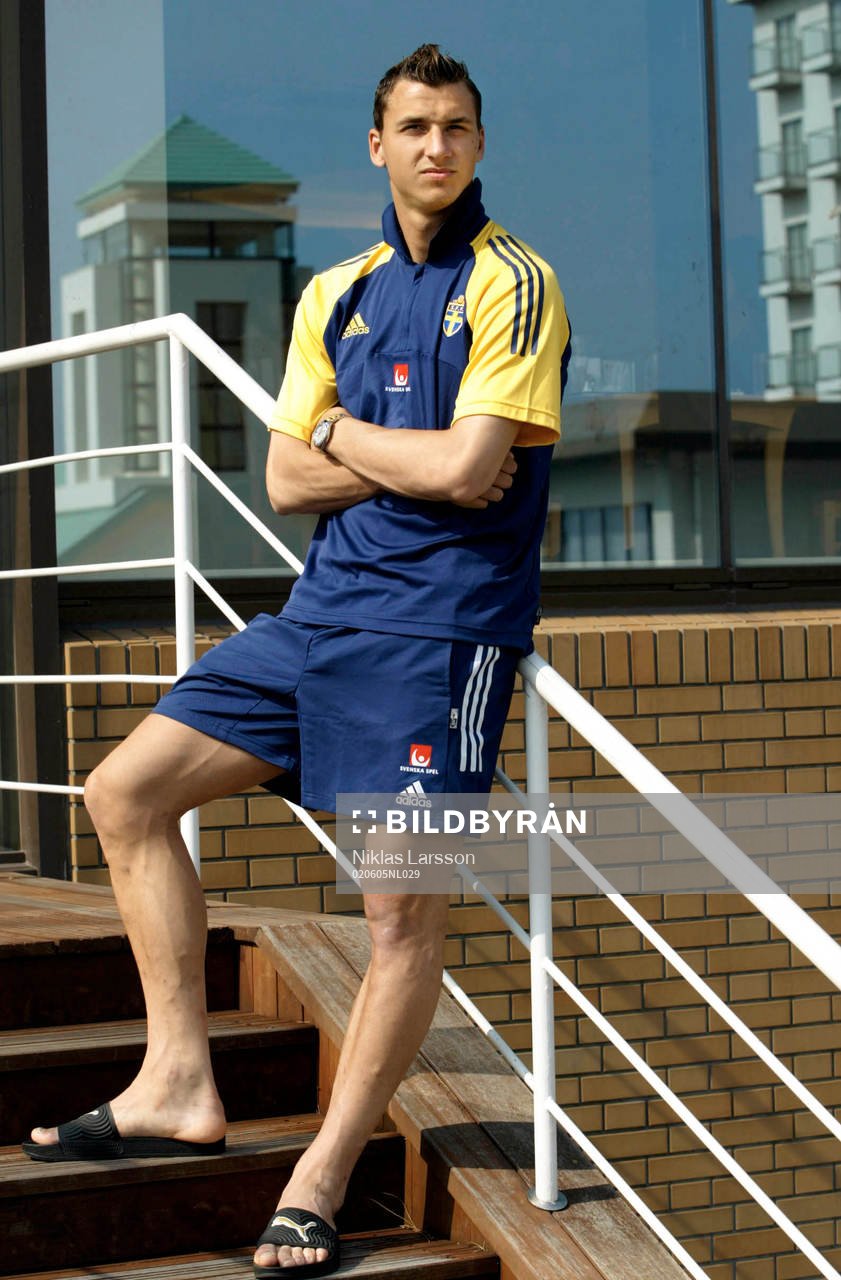 Zlatan Ibrahimovic, Sverige