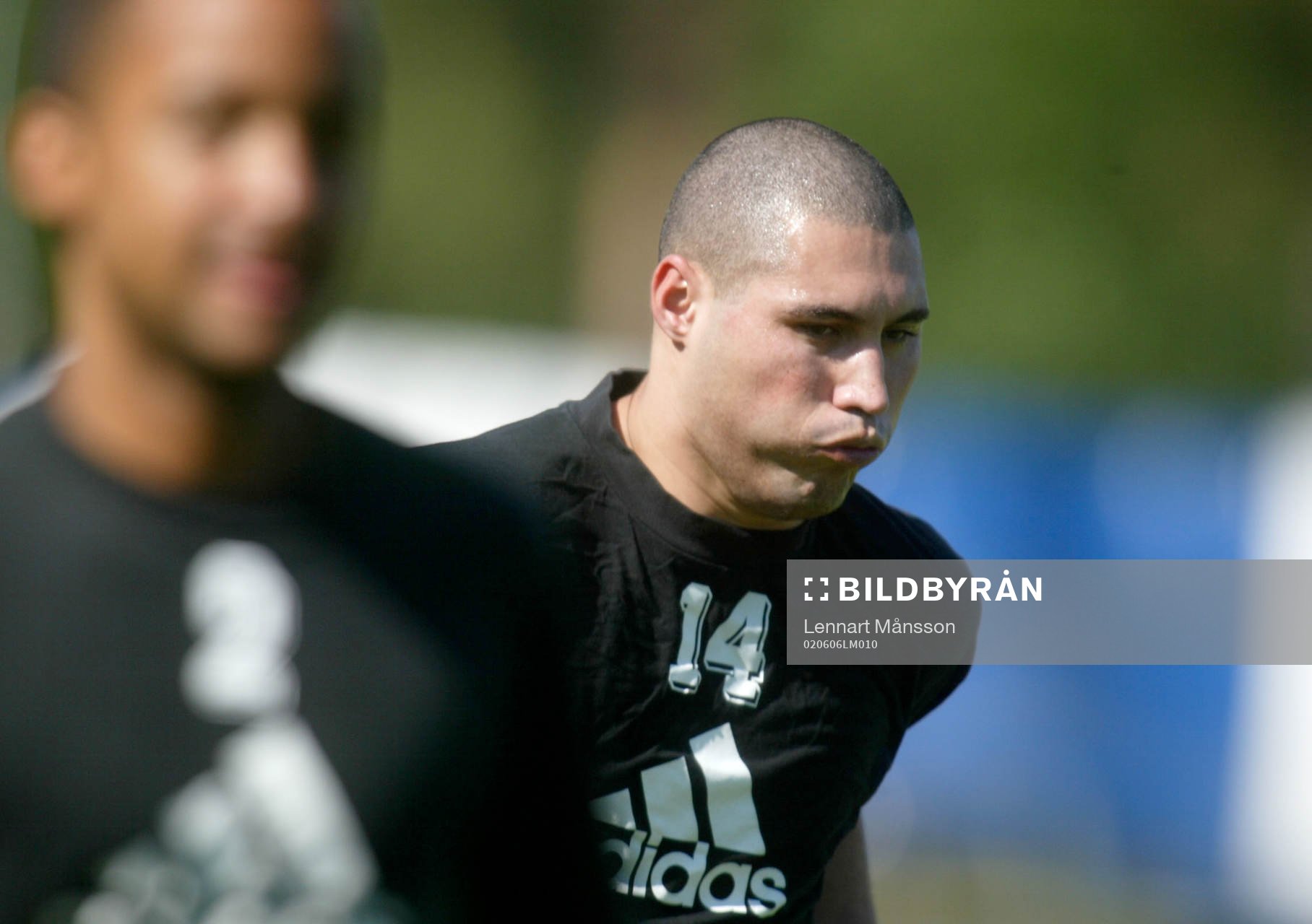 Alysson, brasse i AIK