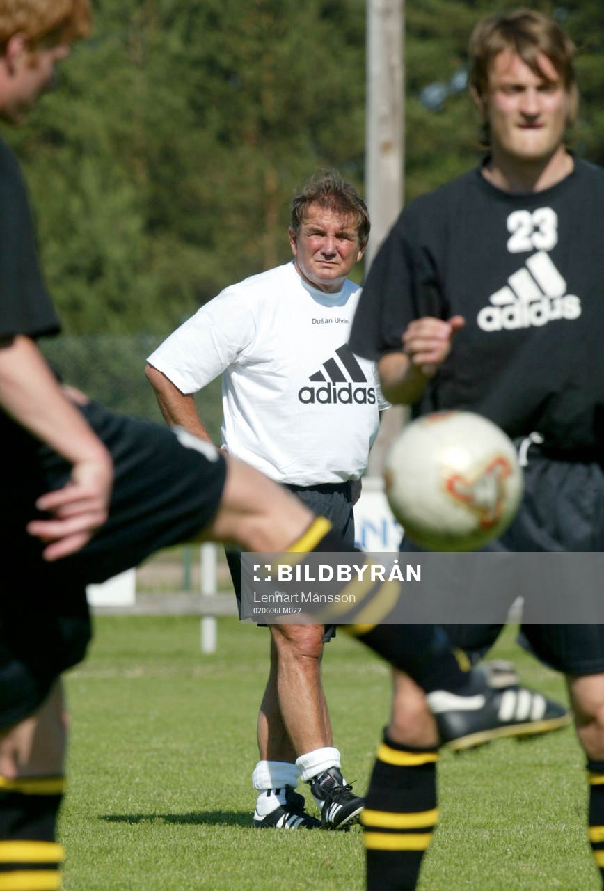 Dusan Uhrin, tränare, AIK