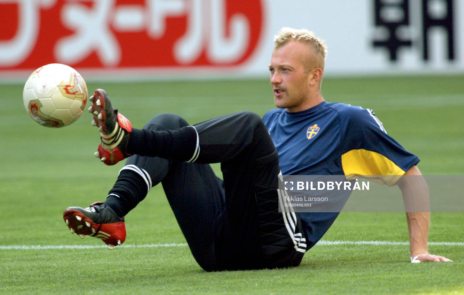 Magnus Hedman, Sverige