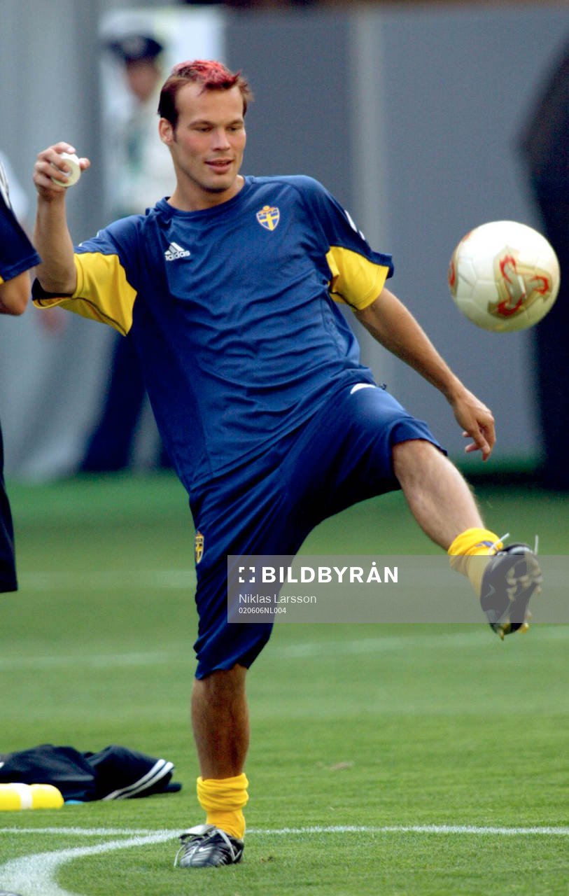 Fredrik Ljungberg, Sverige