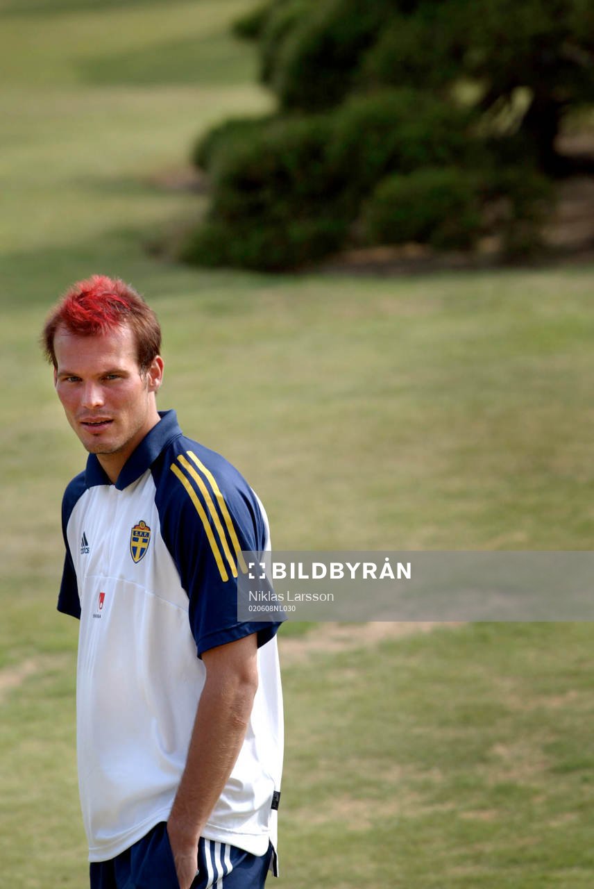 Fredrik Ljungberg, Sverige