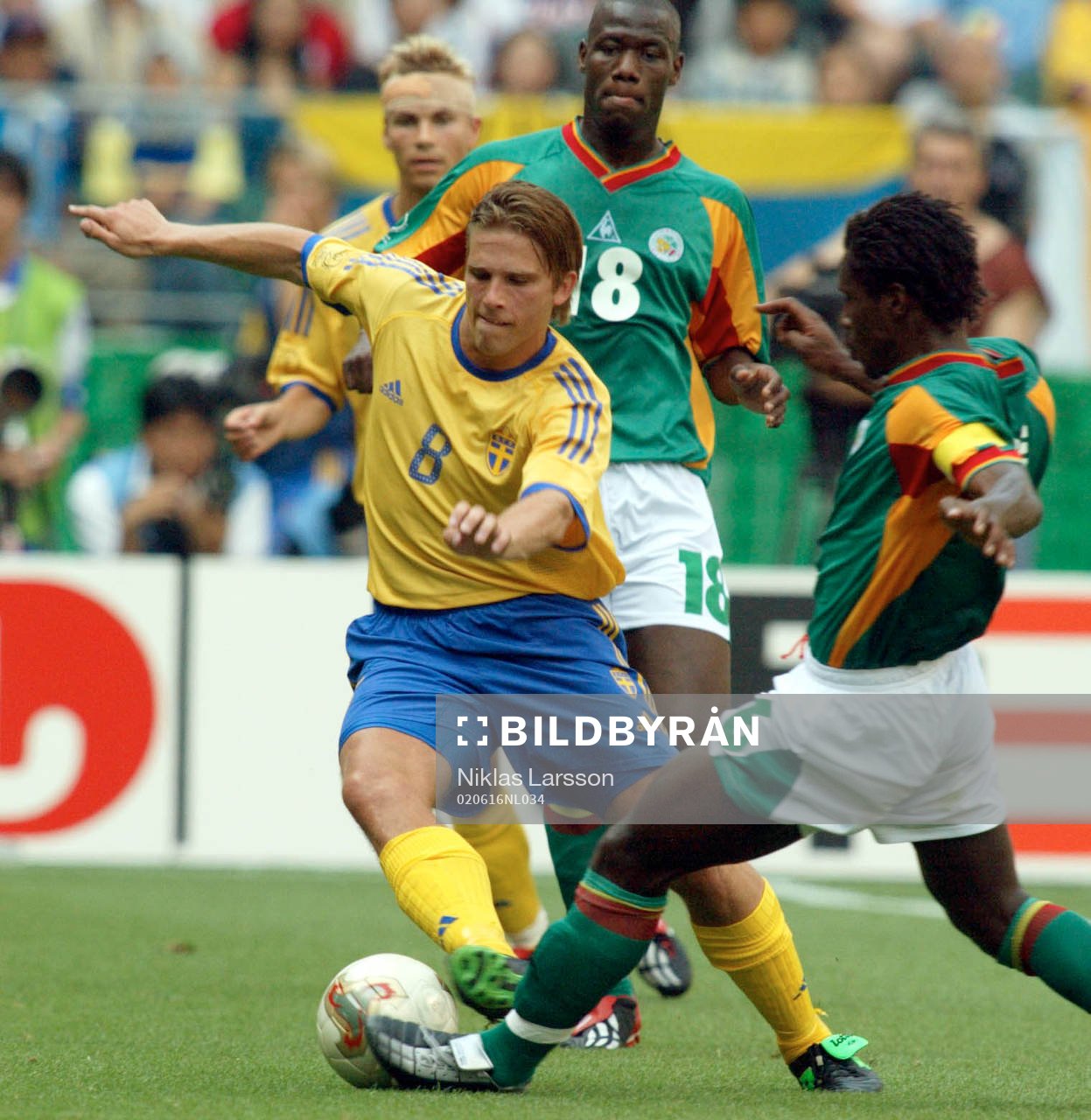 Anders Svensson, Sverige