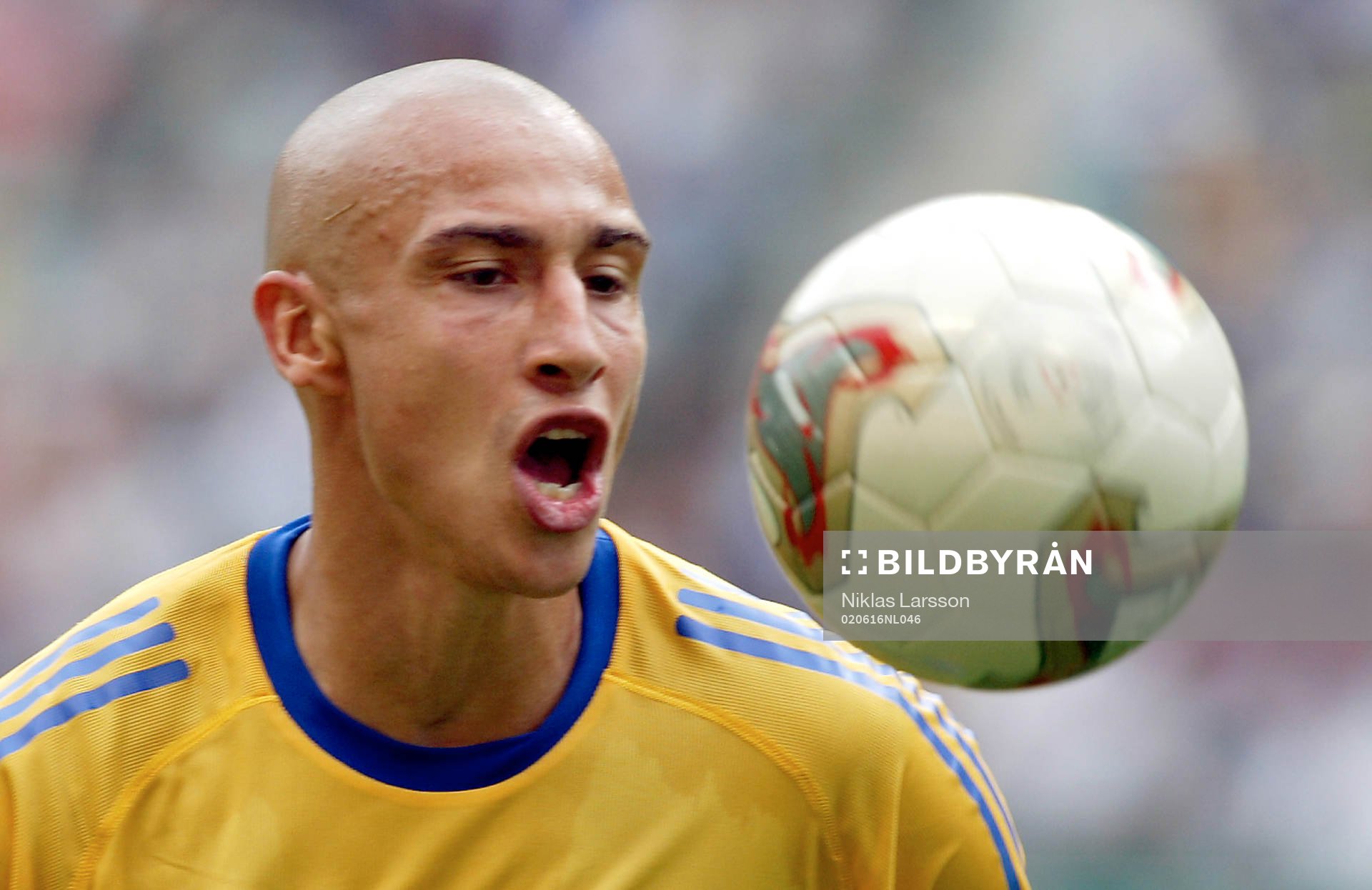 Henrik Larsson, Sverige