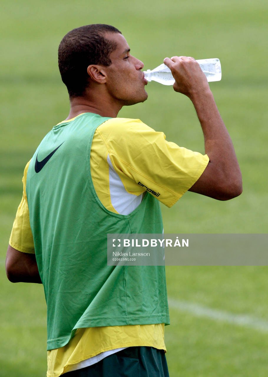 Rivaldo, Brasilien