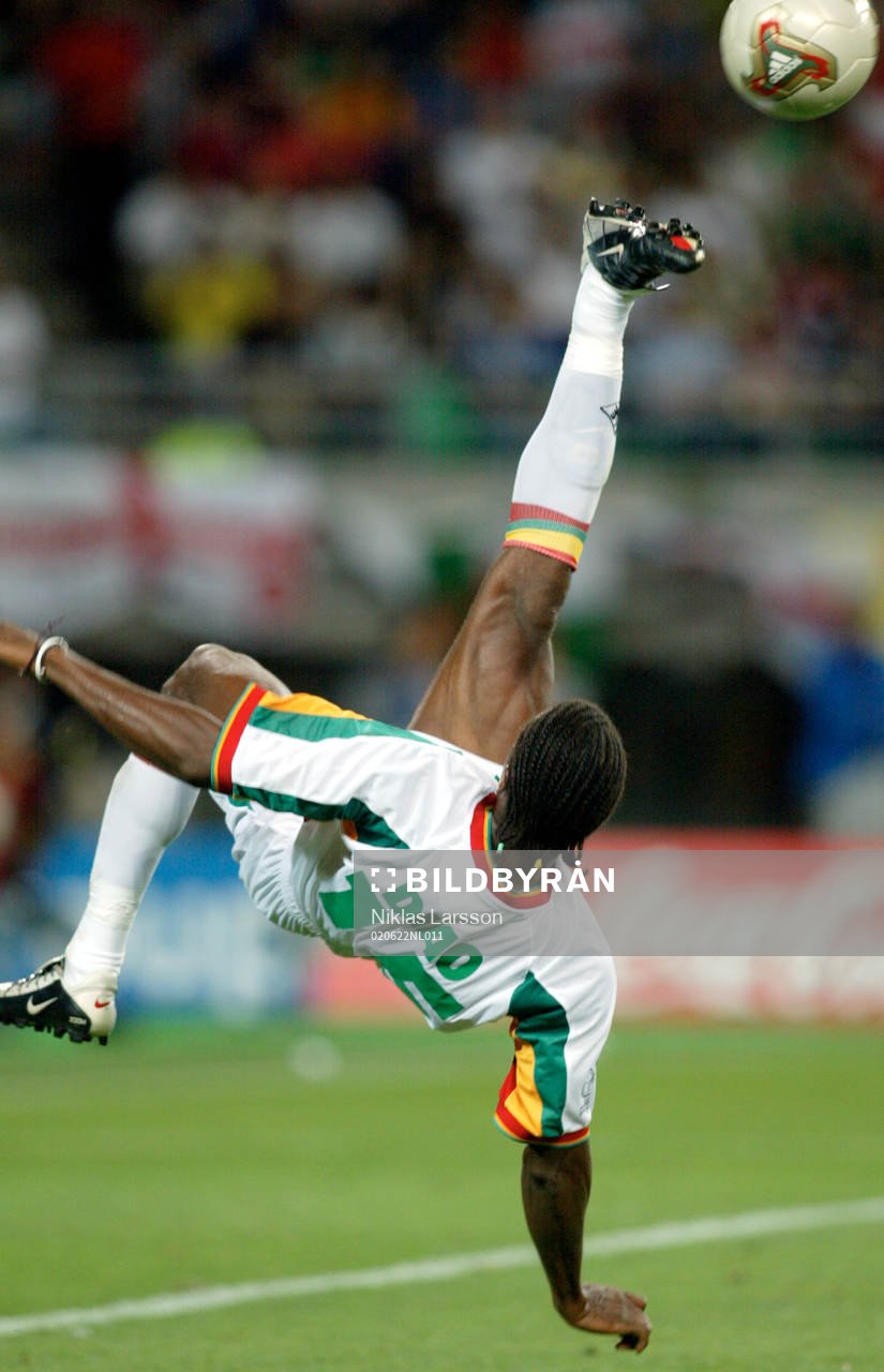 Salif Diao, Senegal