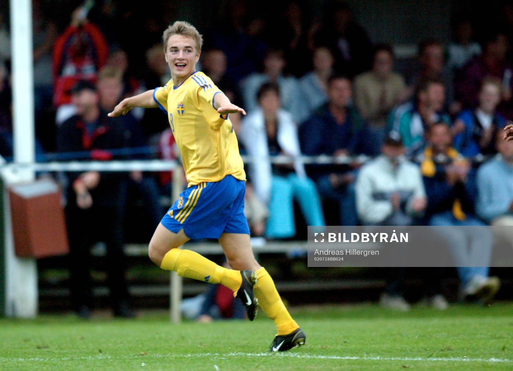 Petter Andersson, Sverige