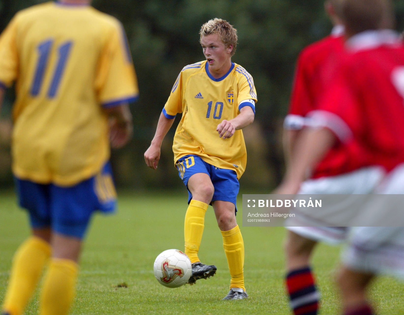 Sebastian Larsson, Sverige