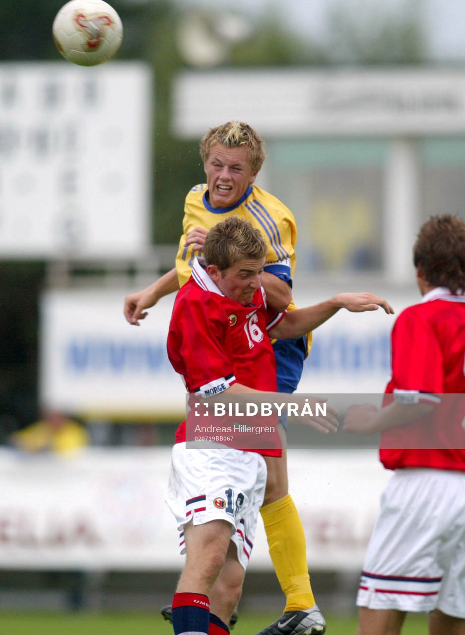 Sebastian Larsson, Sverige
