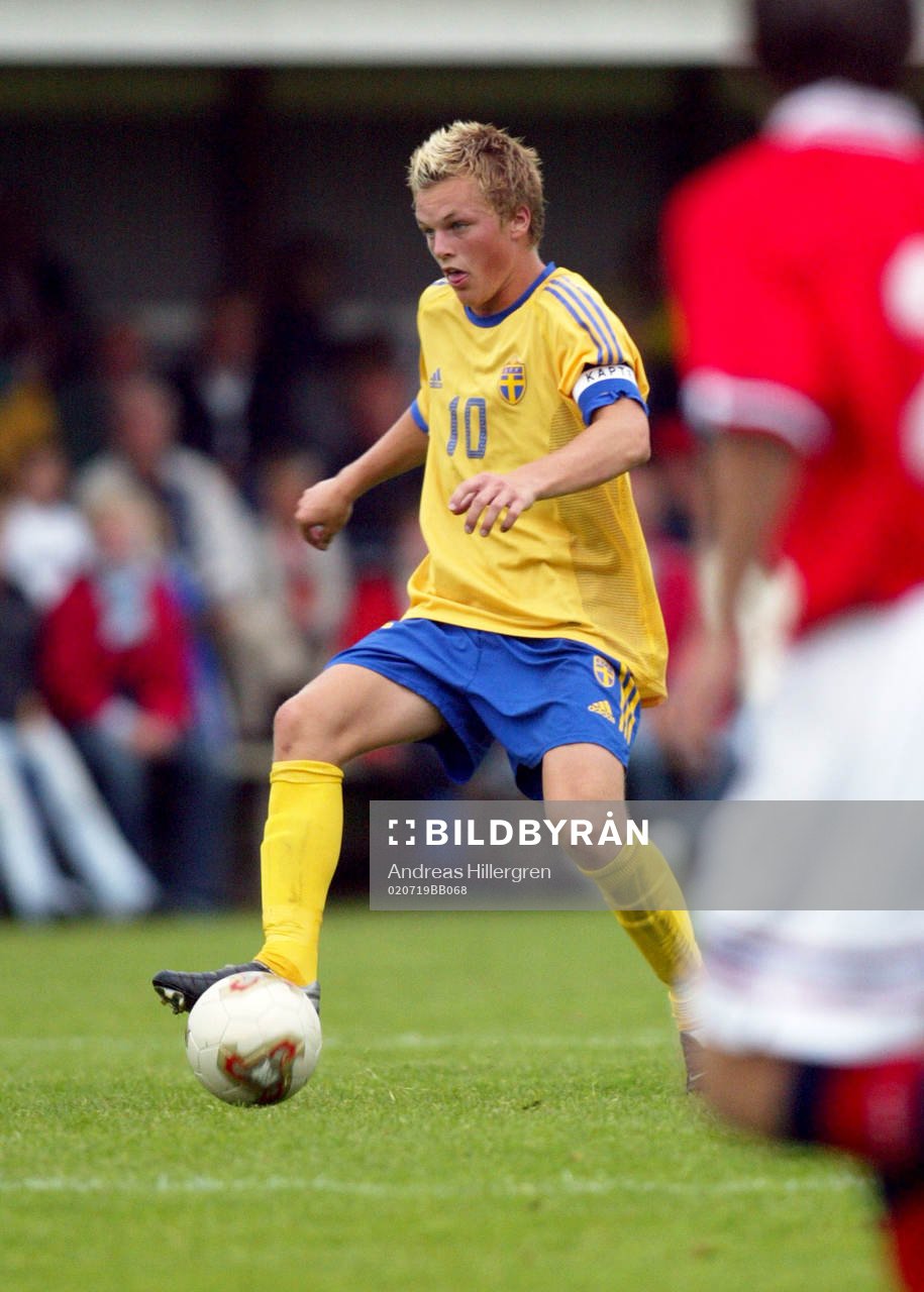 Sebastian Larsson, Sverige