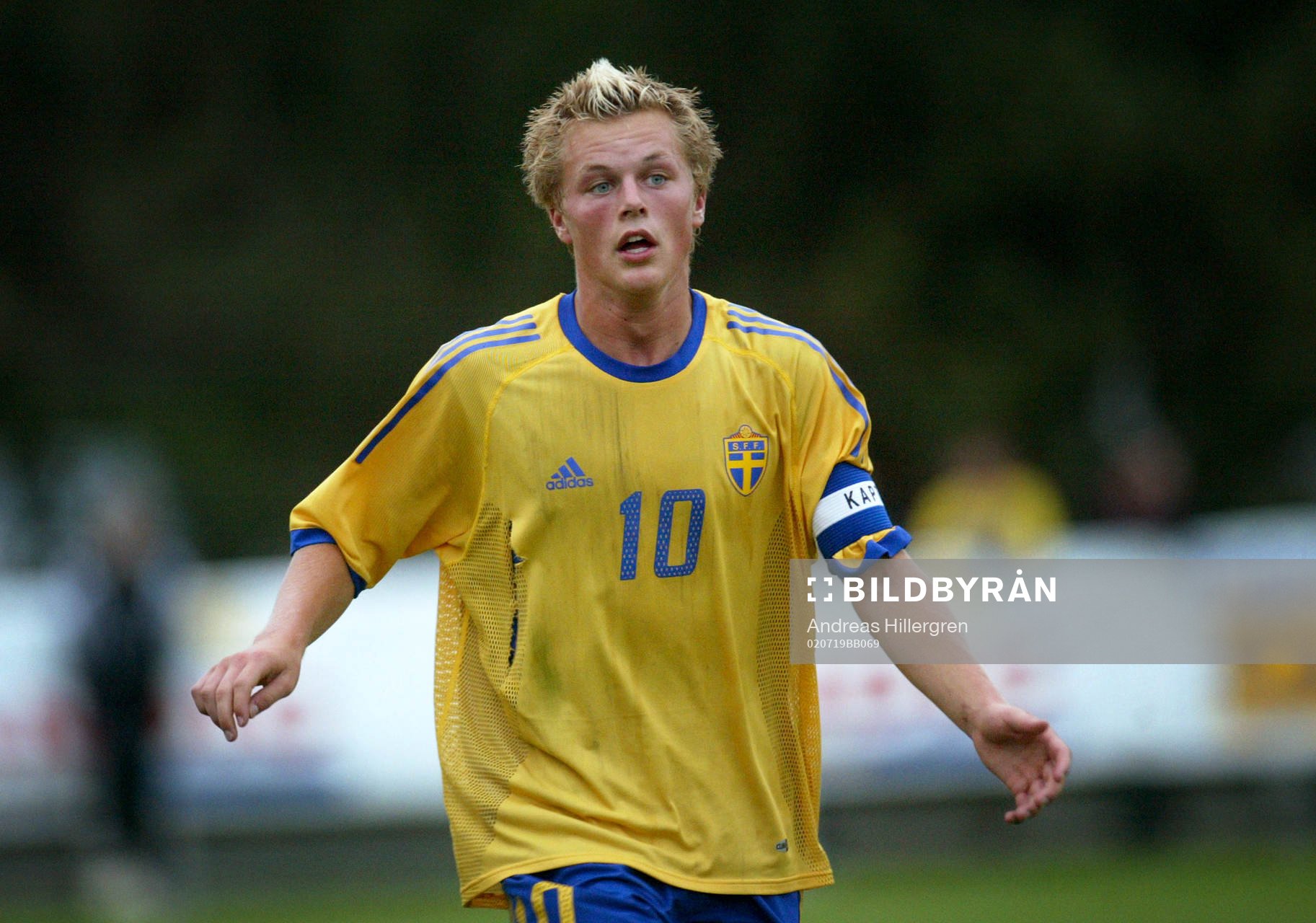 Sebastian Larsson, Sverige