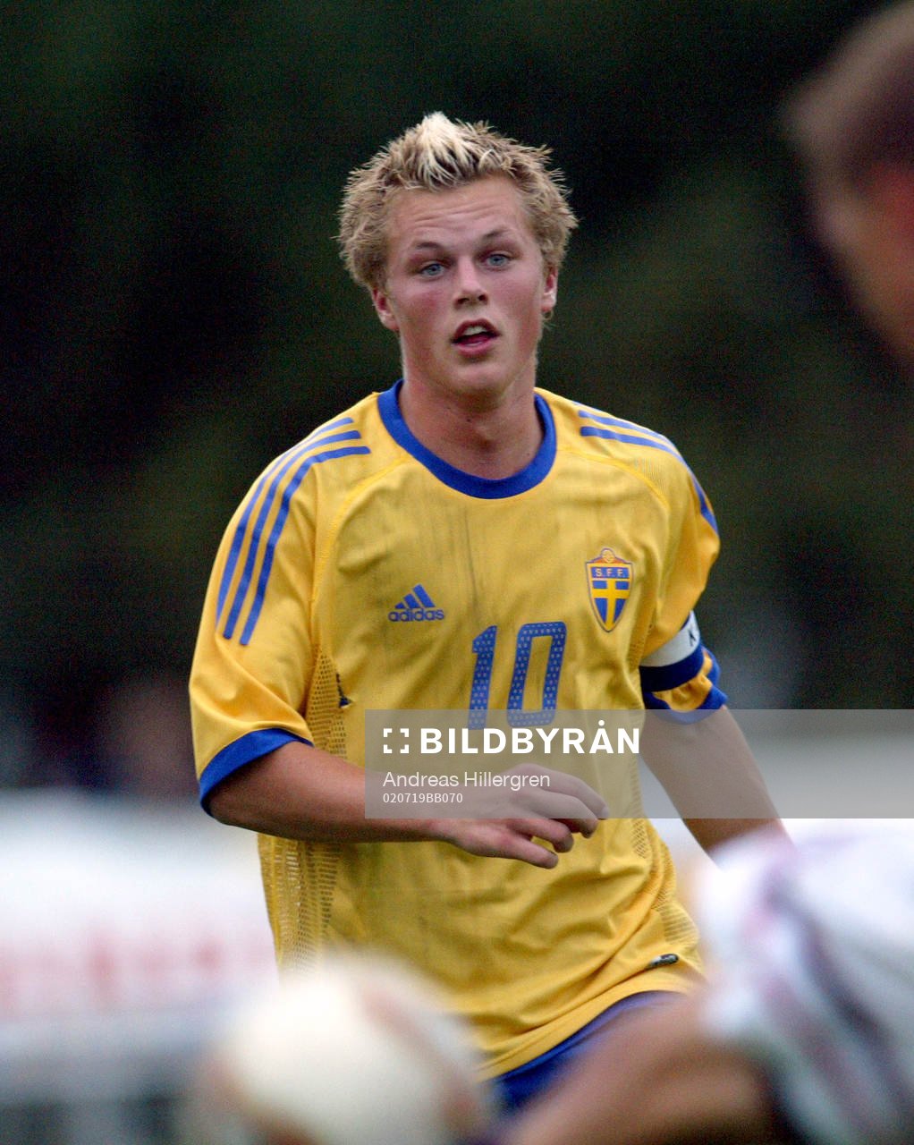 Sebastian Larsson, Sverige