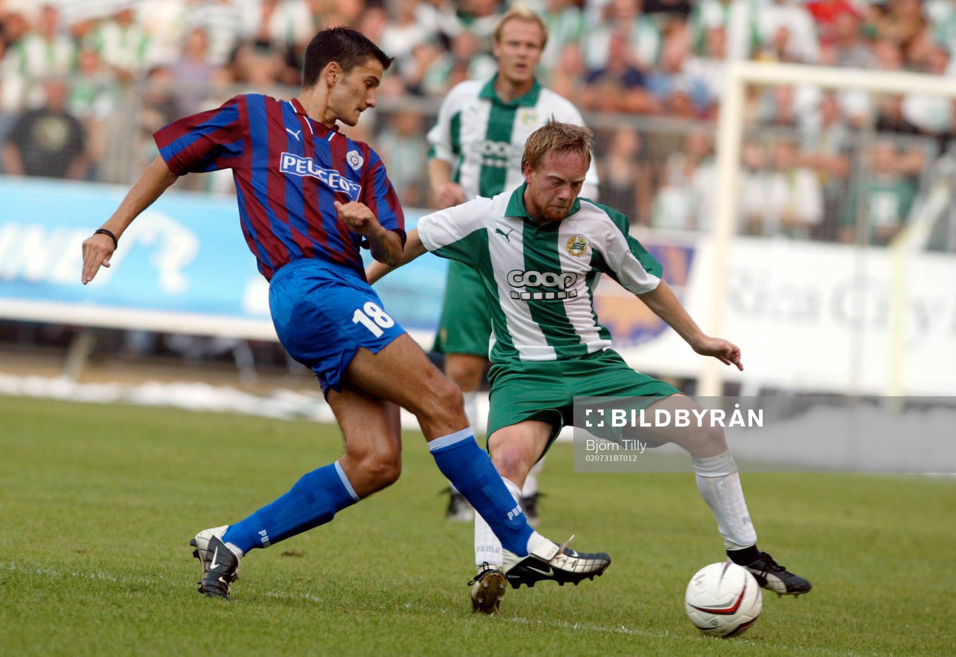 Fredrik Winsnes, Hammarby