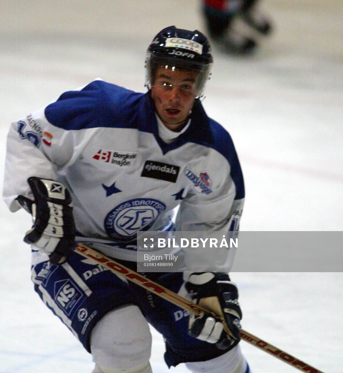 Mikael Pettersson, Leksand