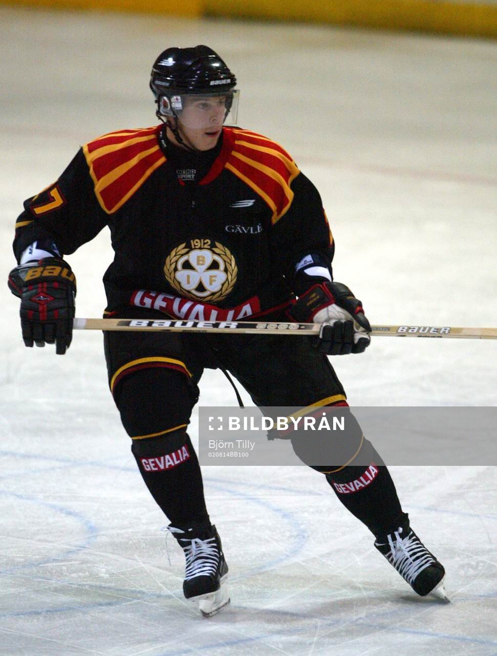 Niklas Anger, Brynäs