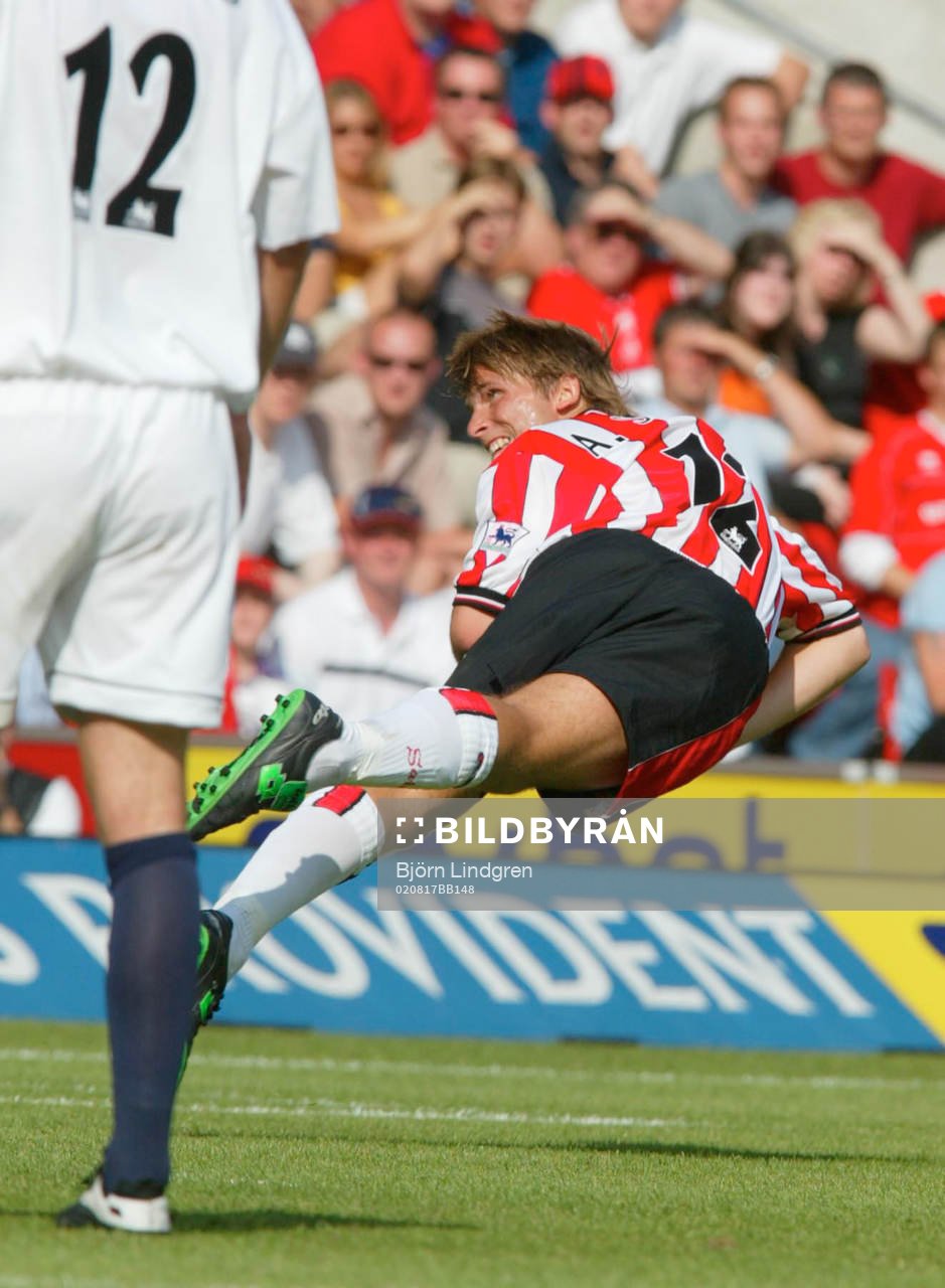 Fotboll, Premier League, (Engelsk Liga), Southampton -