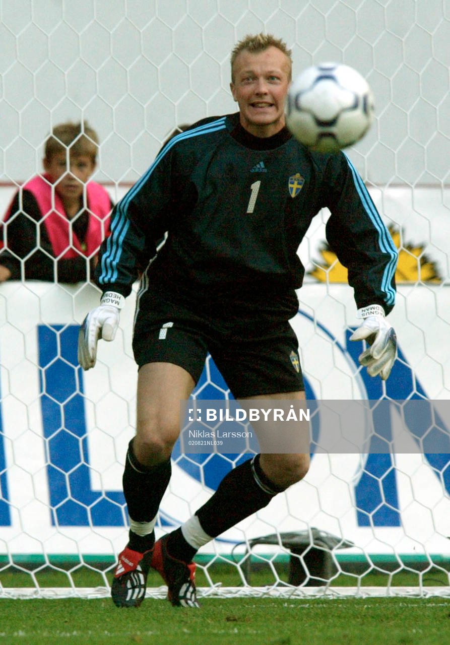 Magnus Hedman, Sverige