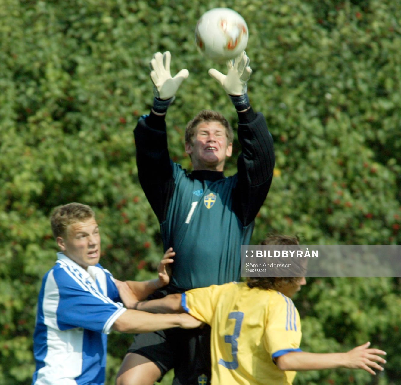 Viktor Bergstrand, sverige