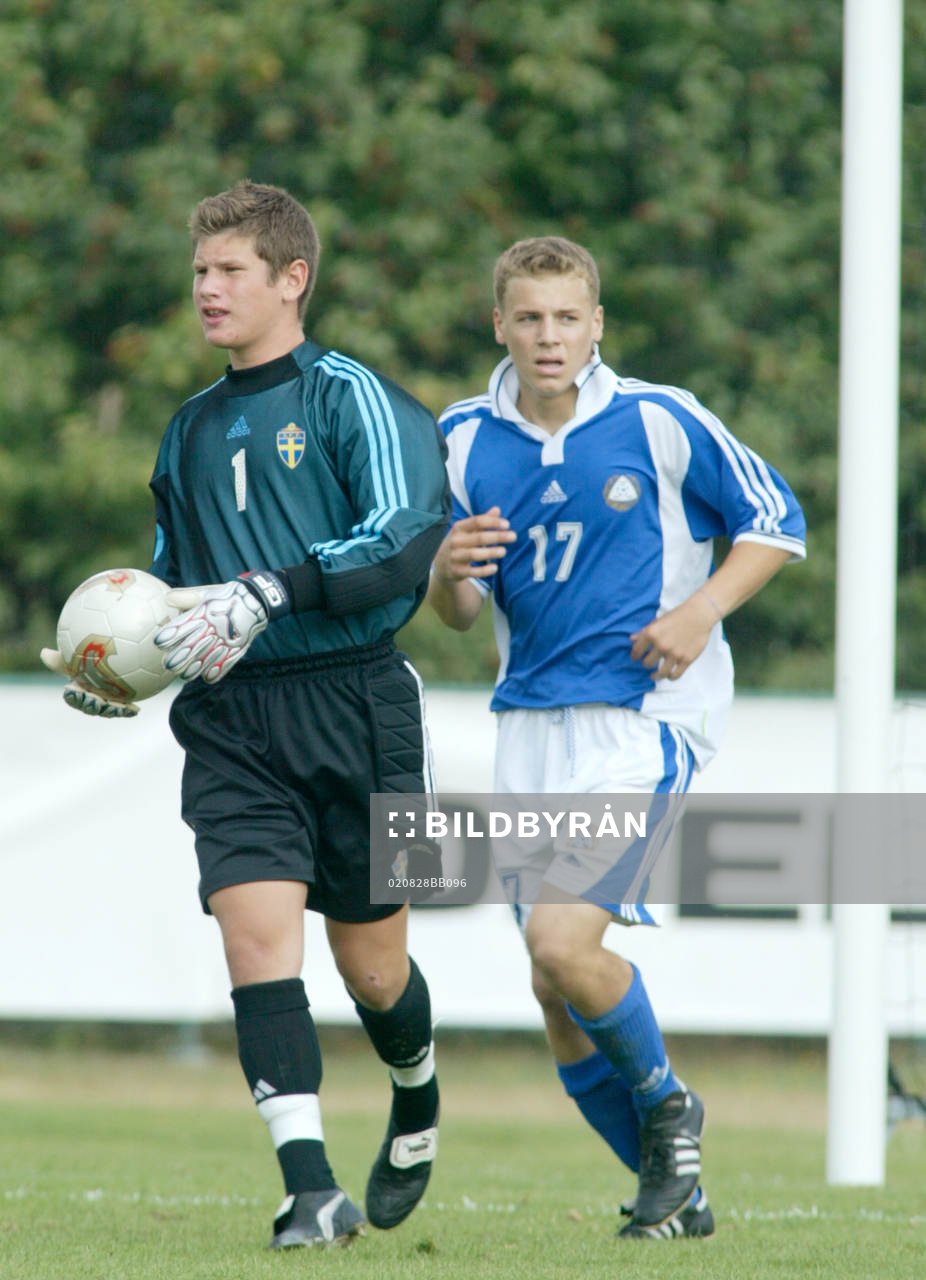 Viktor Bergstrand, Sverige