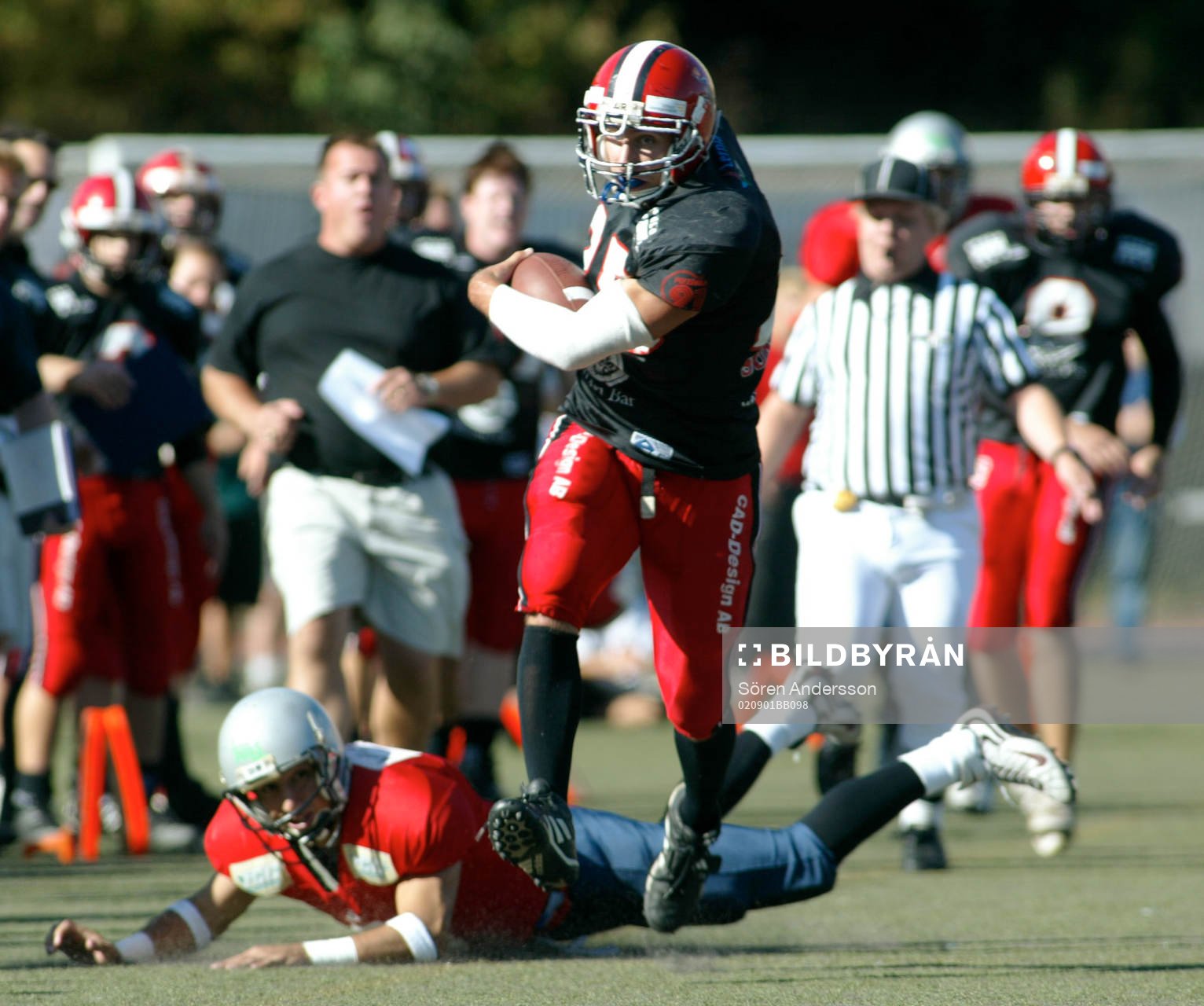 Tracey Gere, Carlstad Crusaders
