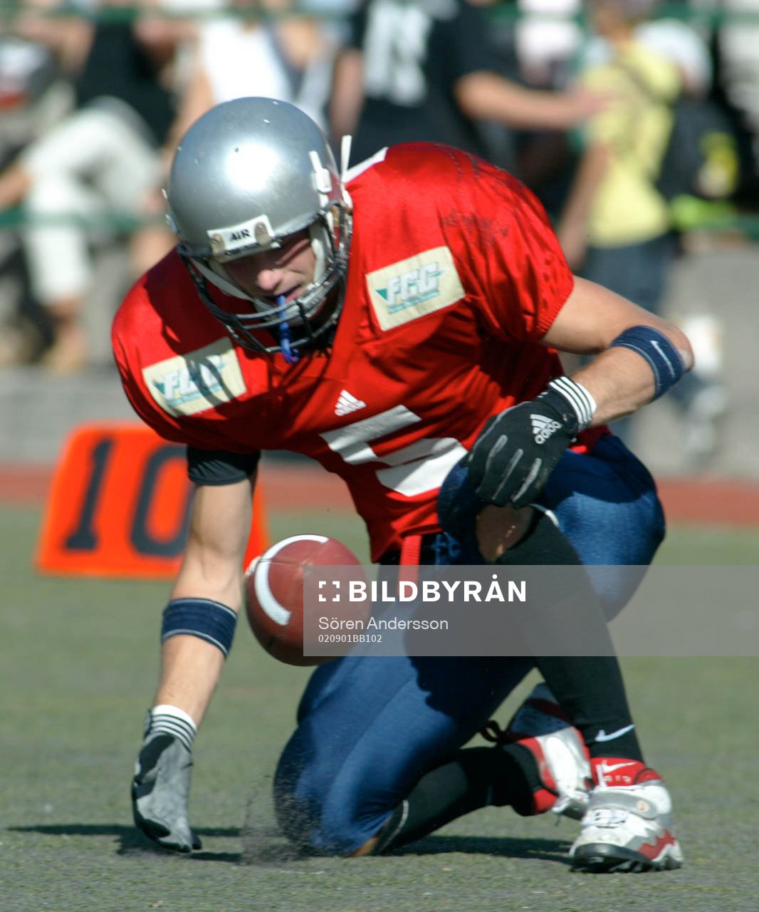 Peter Raicevic, Stockholm Mean Machines