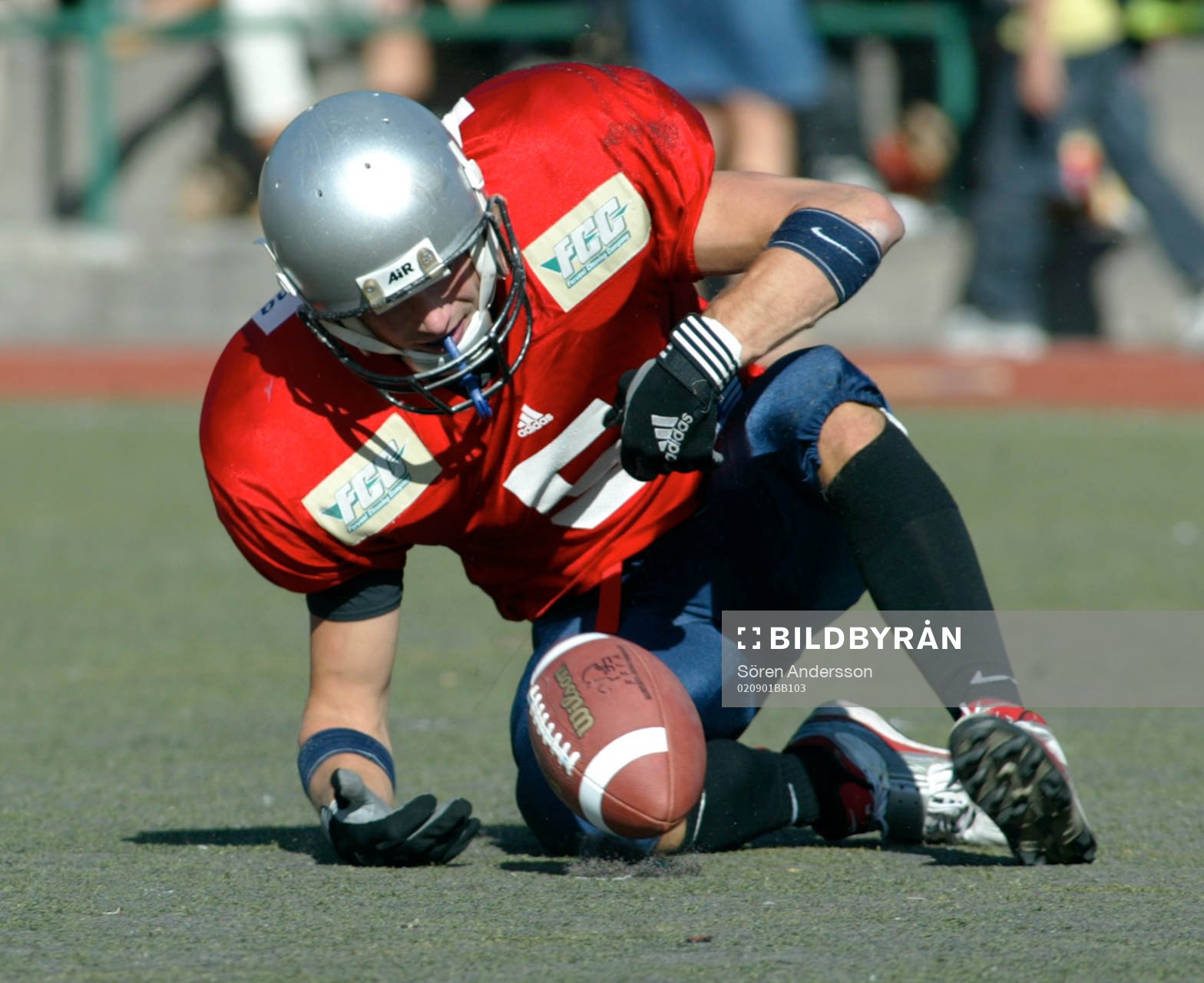 Peter Raicevic, Stockholm Mean Machines