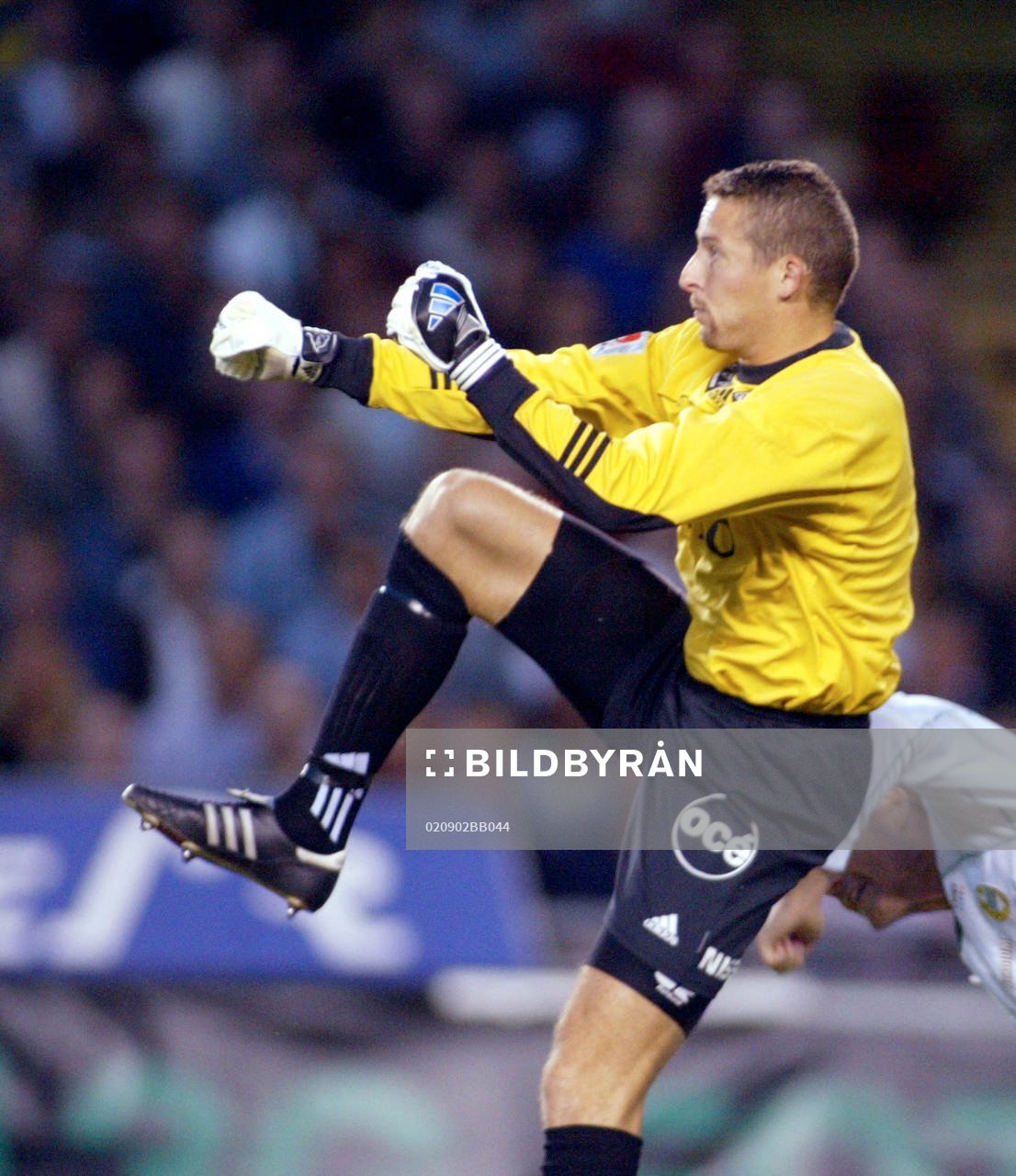 Daniel Andersson, AIK, målvakt