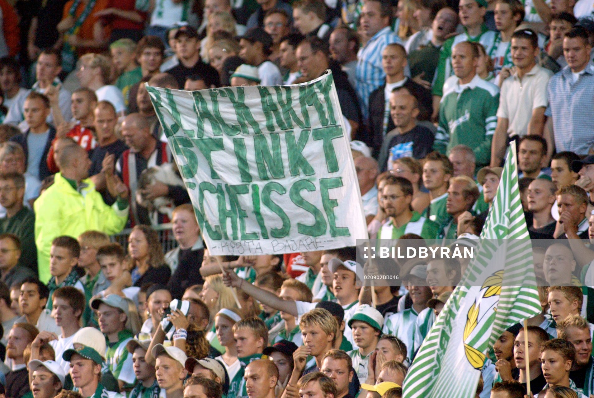 Supporter, Hammarby
